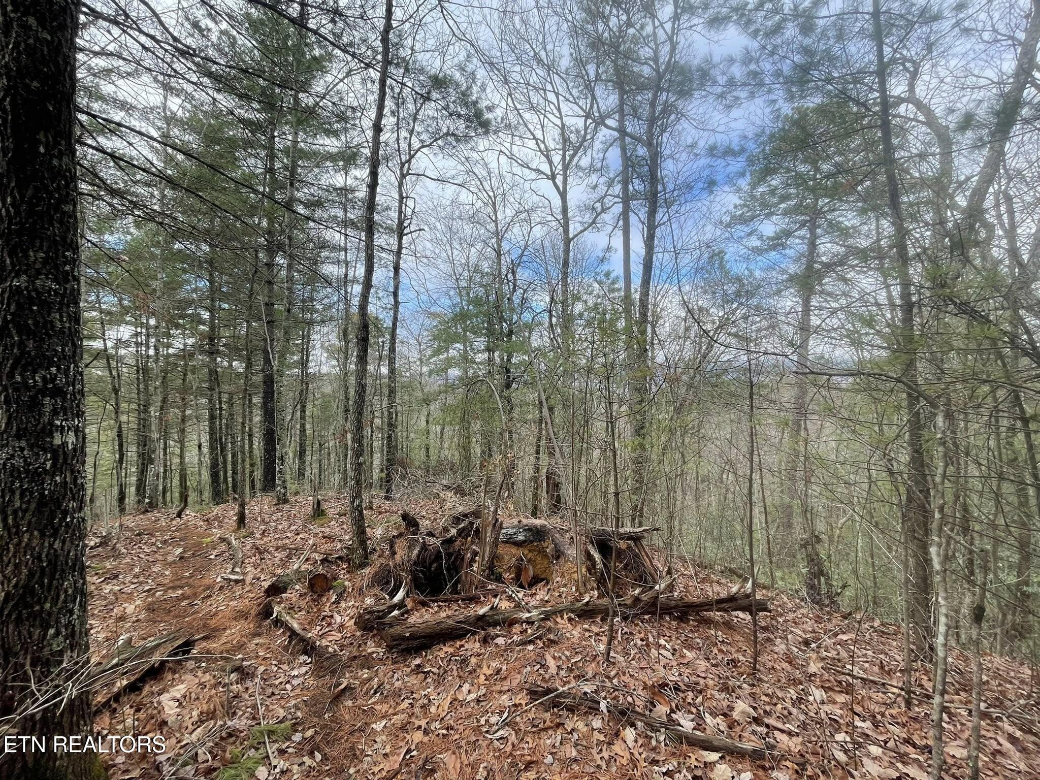 0 Walnut Flats Road Walland TN 37886