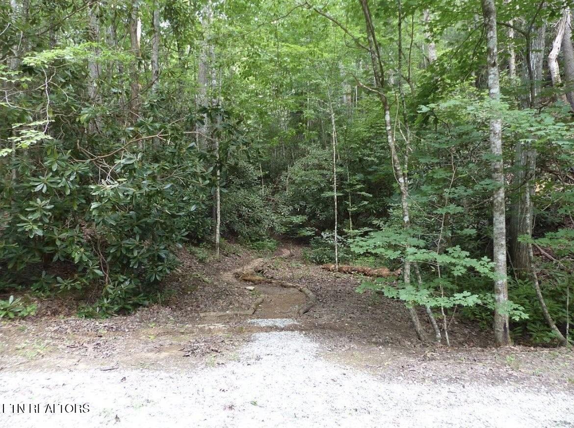 0 Walnut Flats Road Walland TN 37886