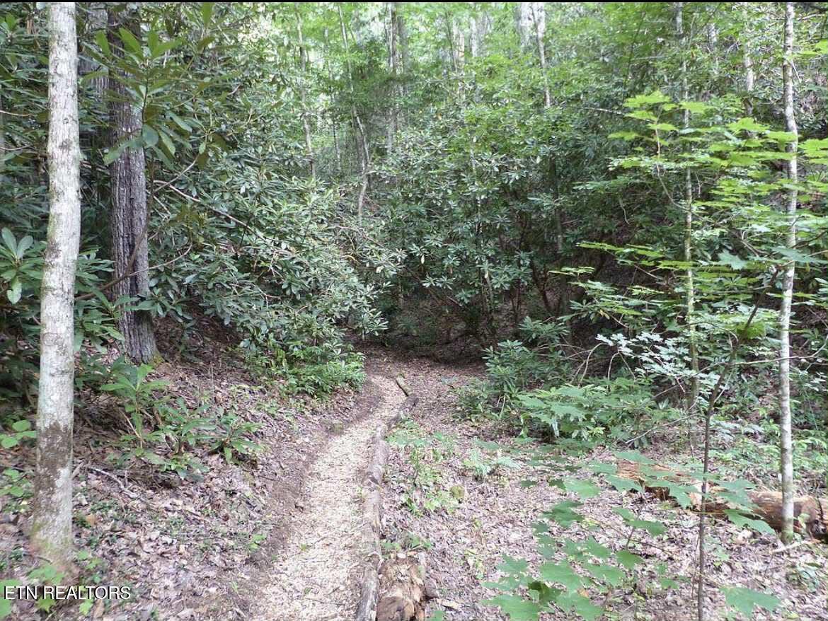 0 Walnut Flats Road Walland TN 37886