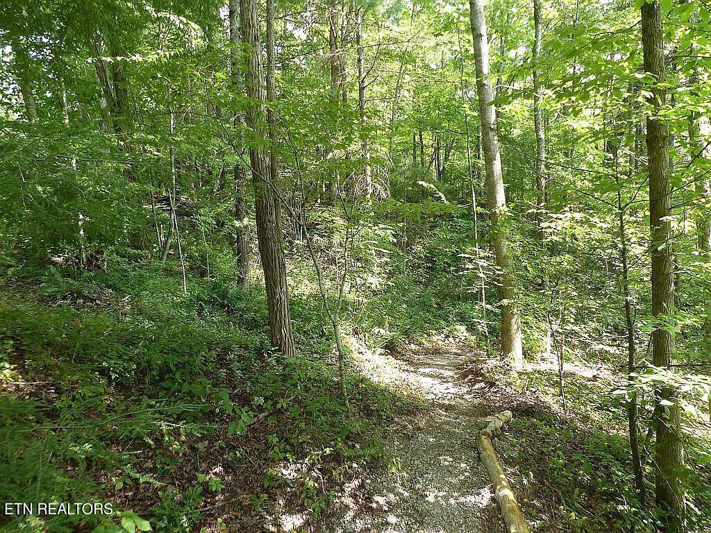 0 Walnut Flats Road Walland TN 37886