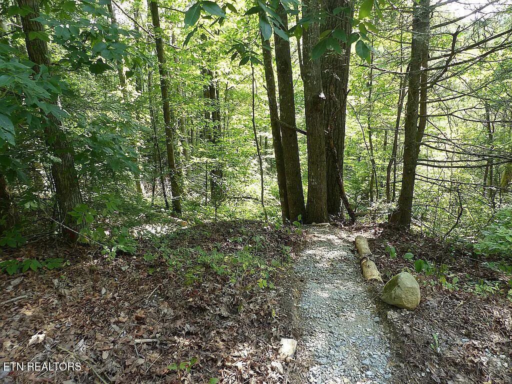 0 Walnut Flats Road Walland TN 37886