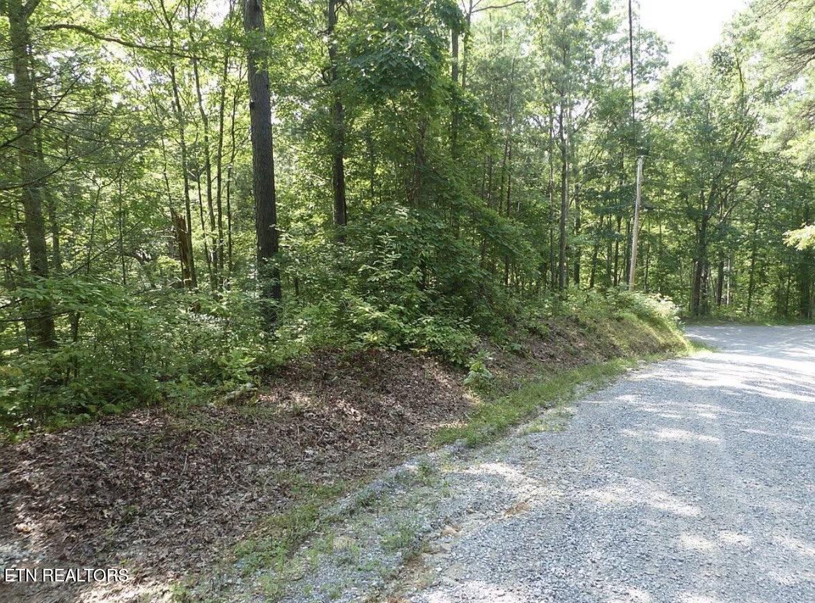 0 Walnut Flats Road Walland TN 37886