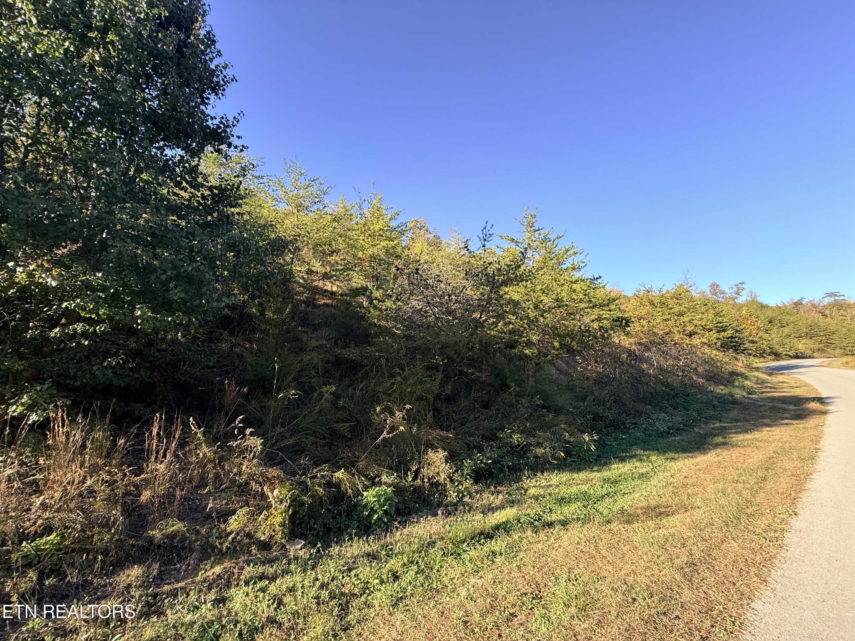 Lot 97r Marina Landing Road Tazewell TN 37879