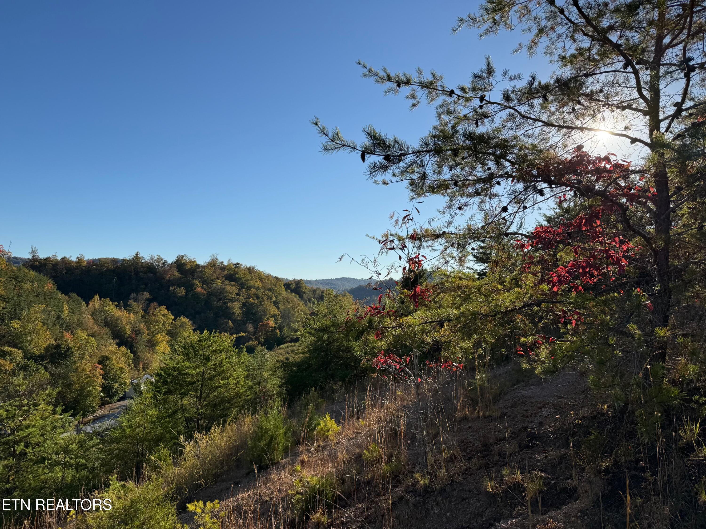 Lot 97r Marina Landing Road Tazewell TN 37879