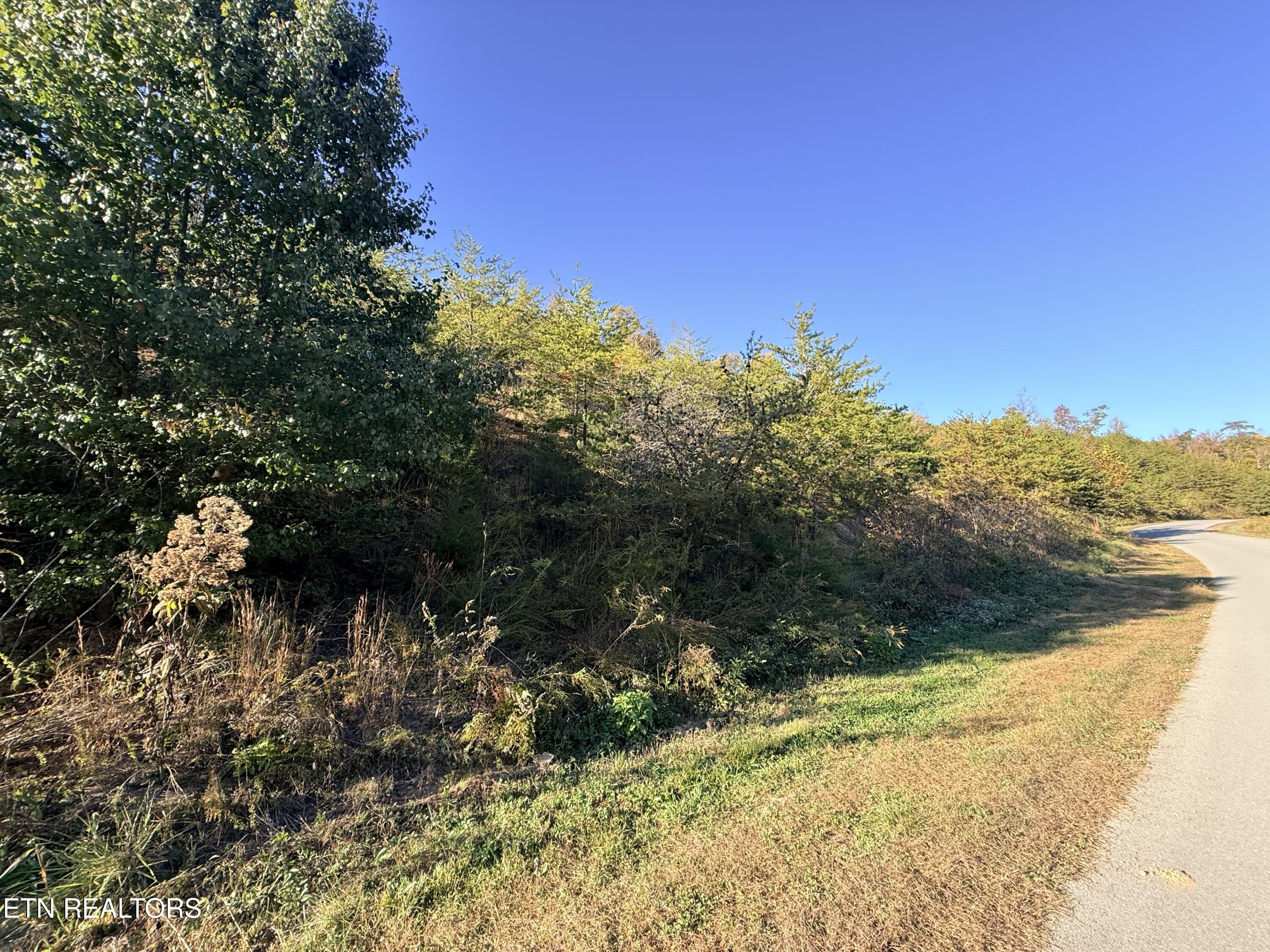 Lot 97r Marina Landing Road Tazewell TN 37879