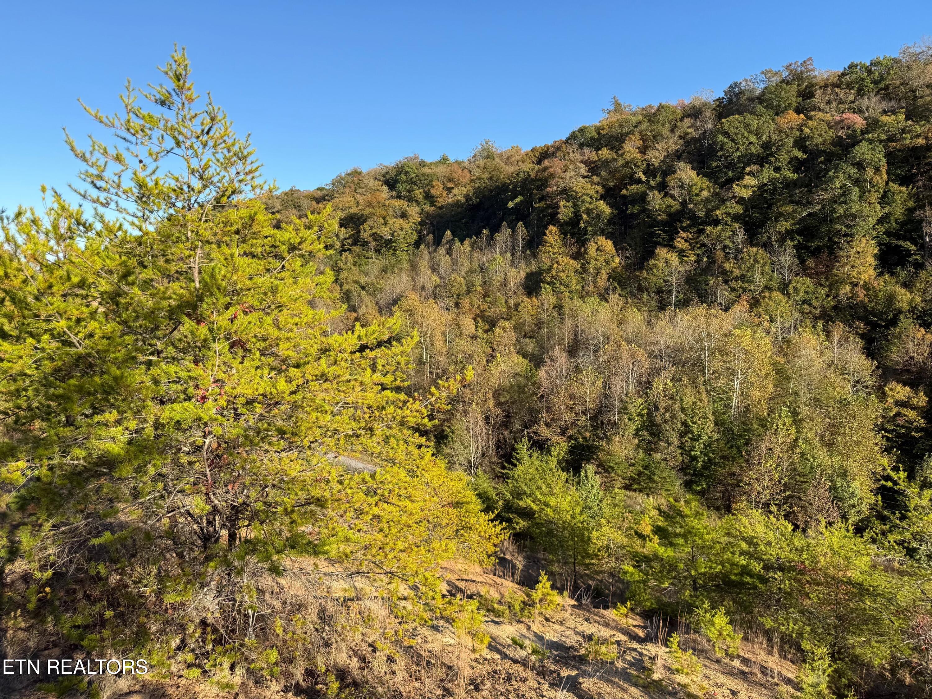 Lot 97r Marina Landing Road Tazewell TN 37879