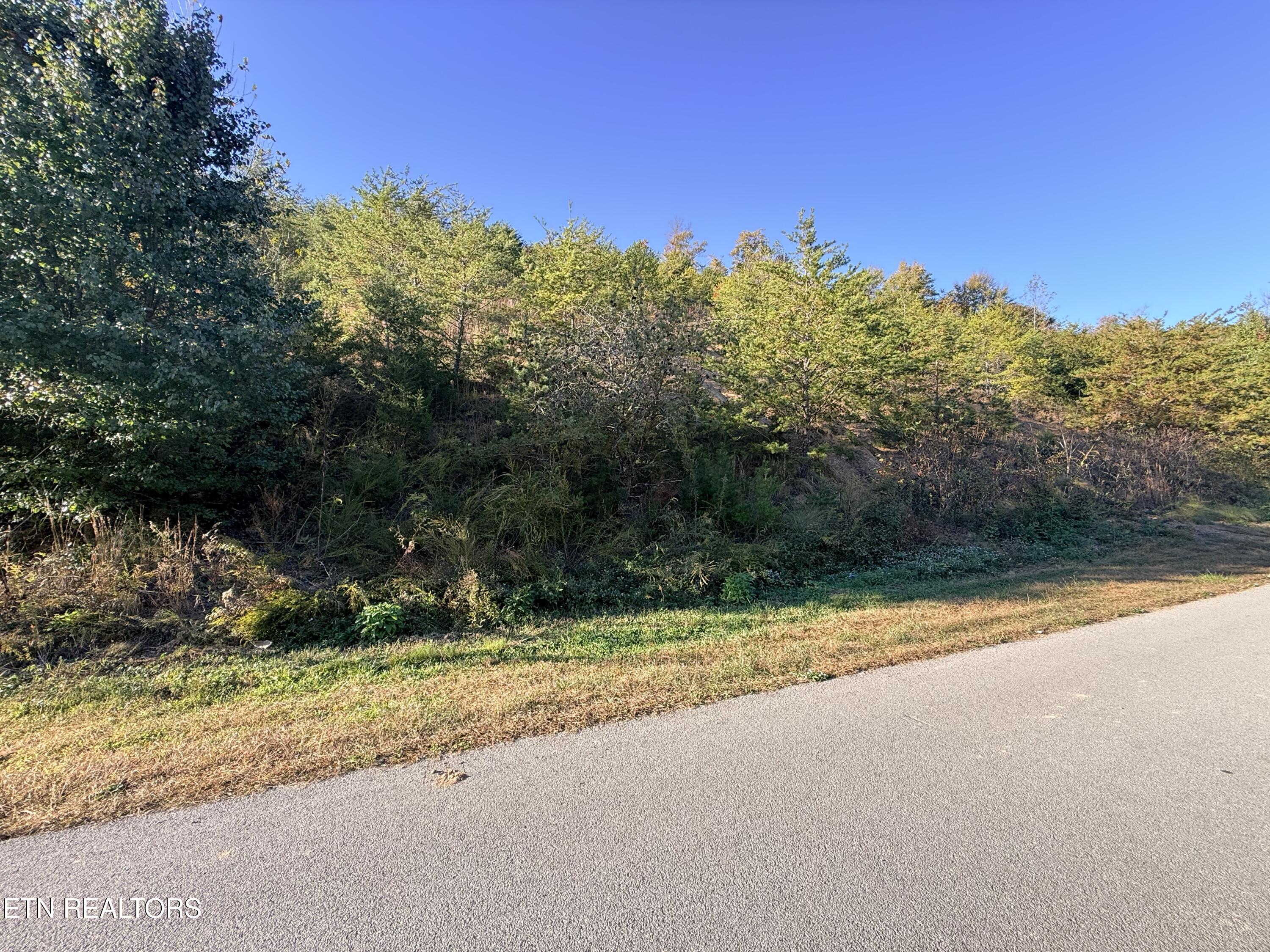 Lot 97r Marina Landing Road Tazewell TN 37879