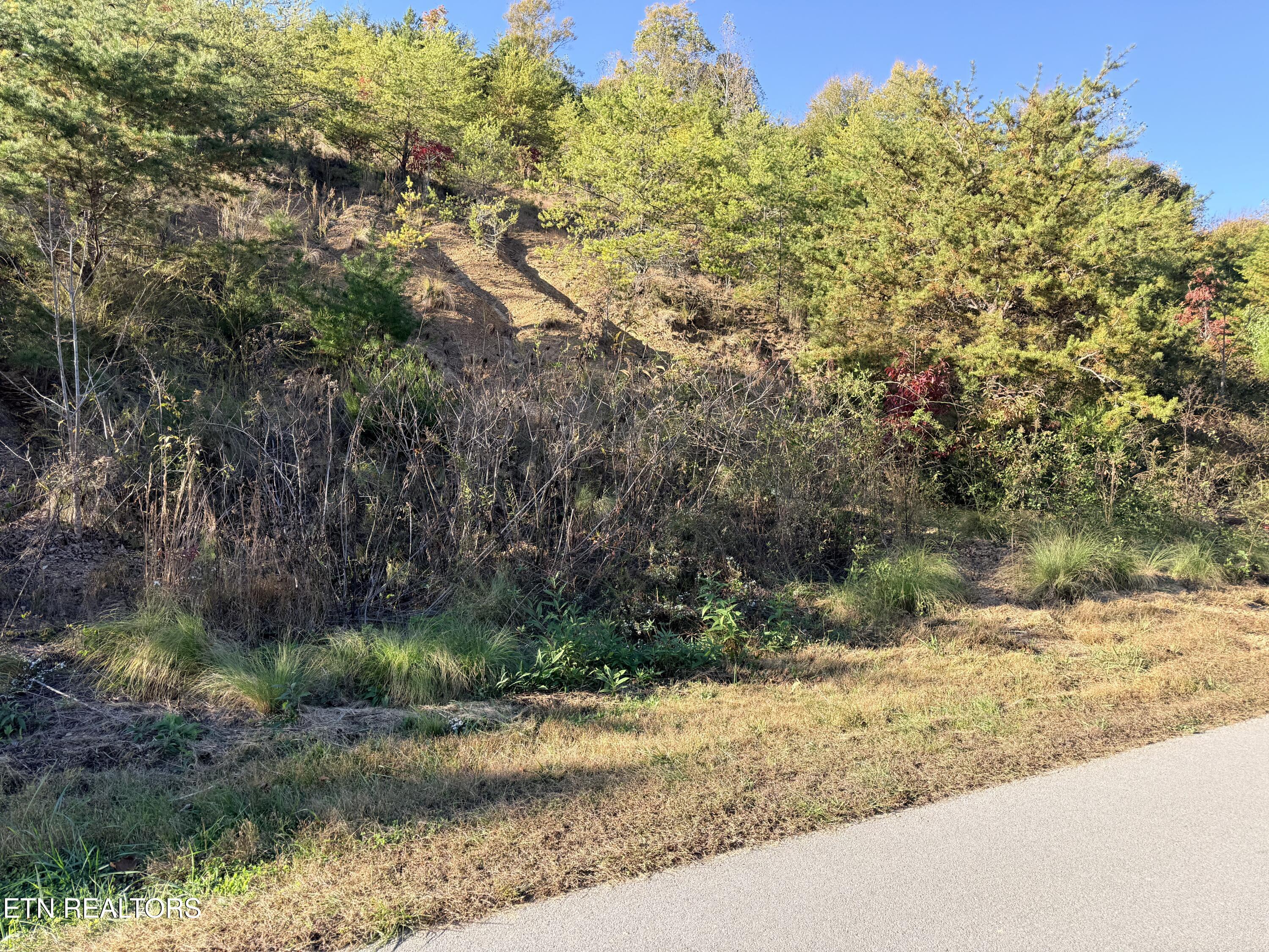 Lot 97r Marina Landing Road Tazewell TN 37879
