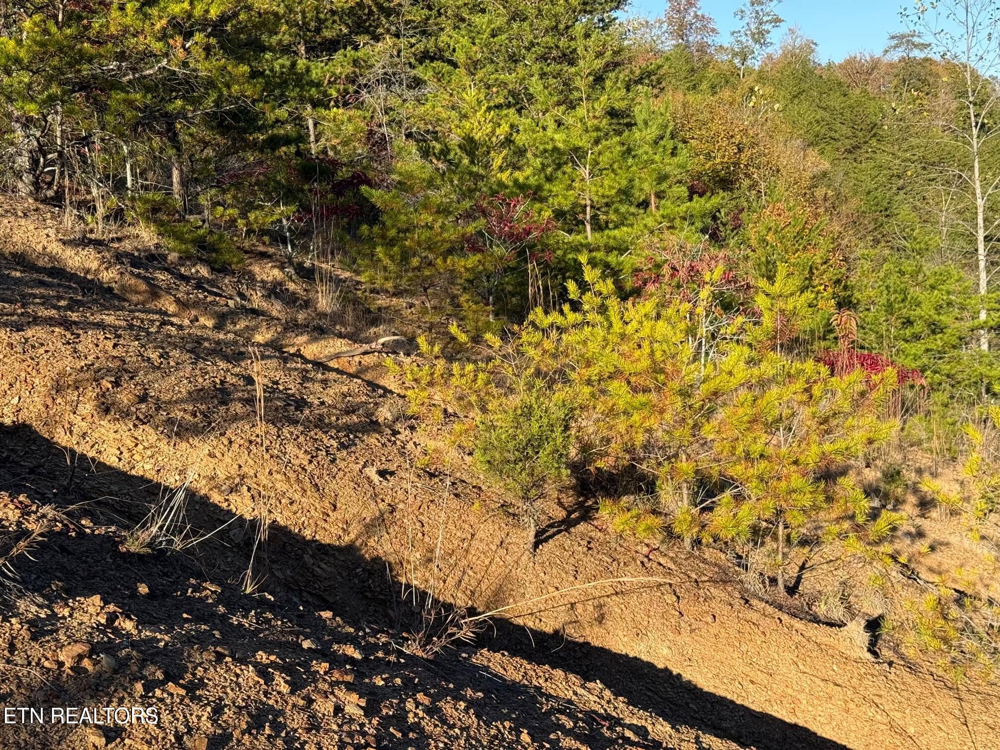 Lot 97r Marina Landing Road Tazewell TN 37879