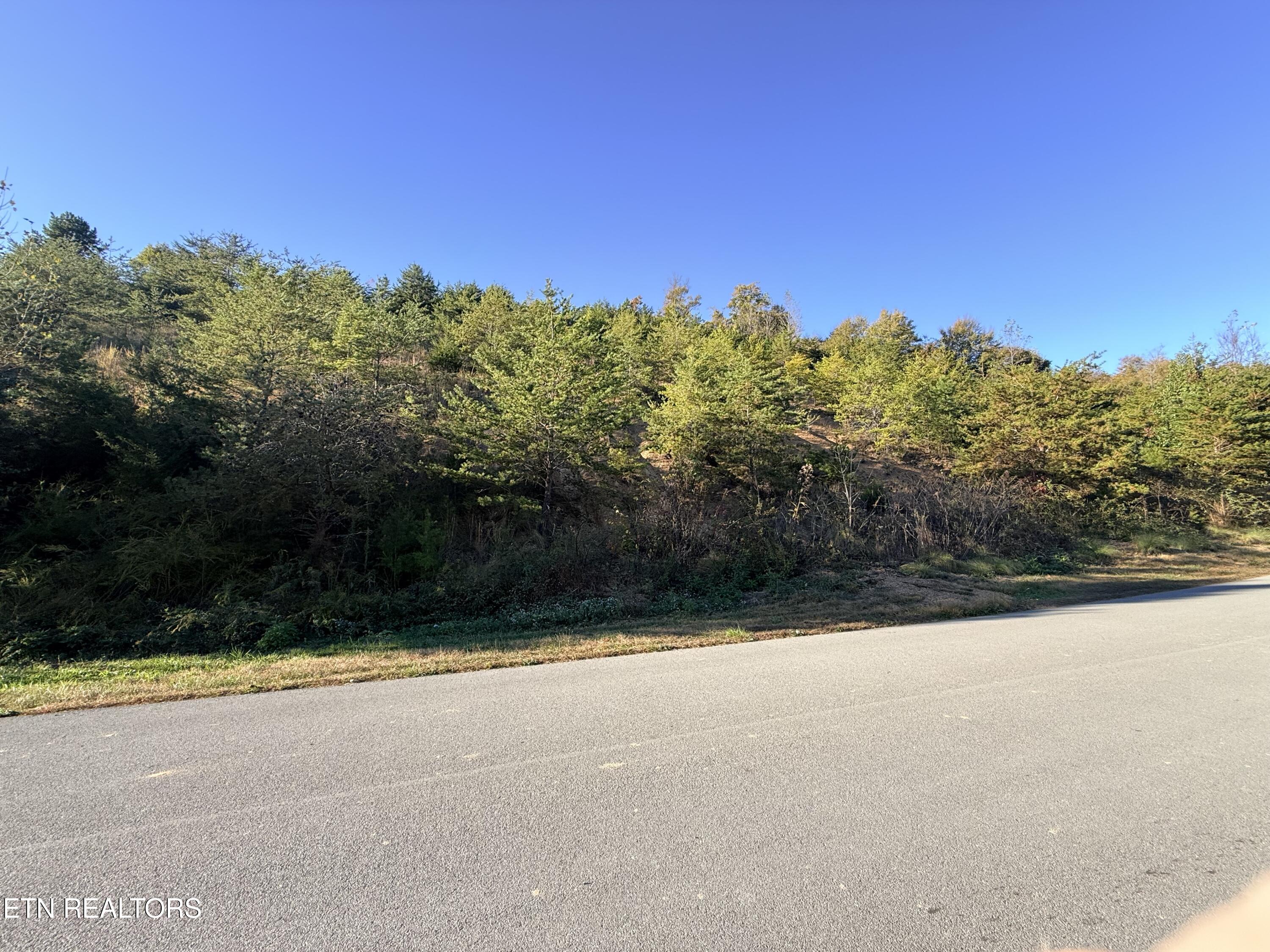 Lot 97r Marina Landing Road Tazewell TN 37879