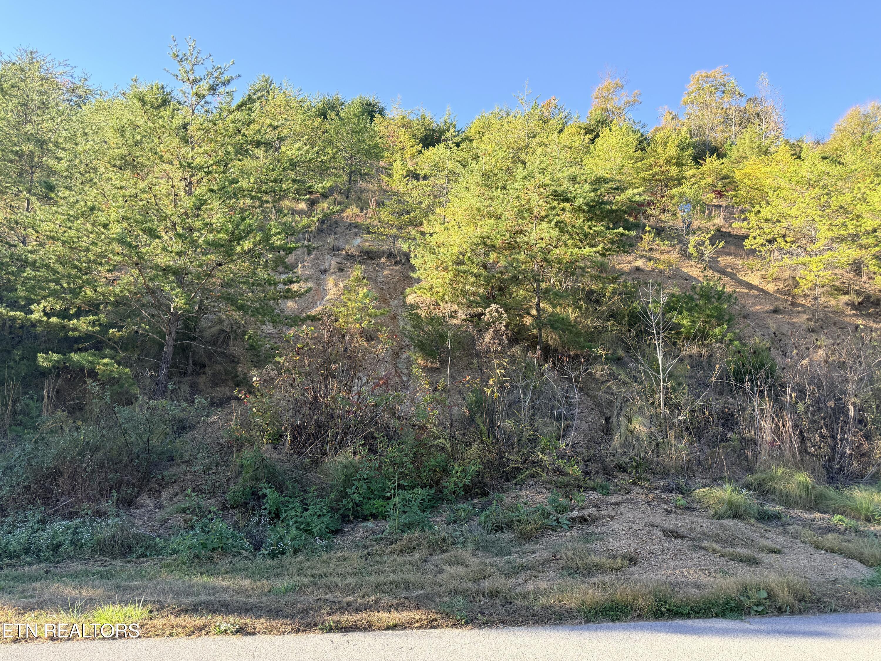 Lot 97r Marina Landing Road Tazewell TN 37879