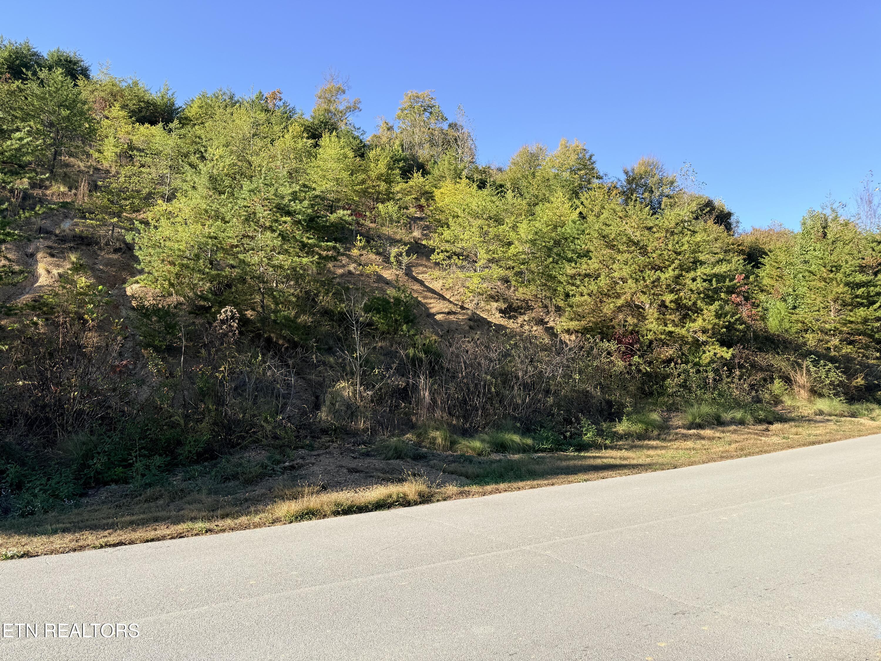 Lot 97r Marina Landing Road Tazewell TN 37879
