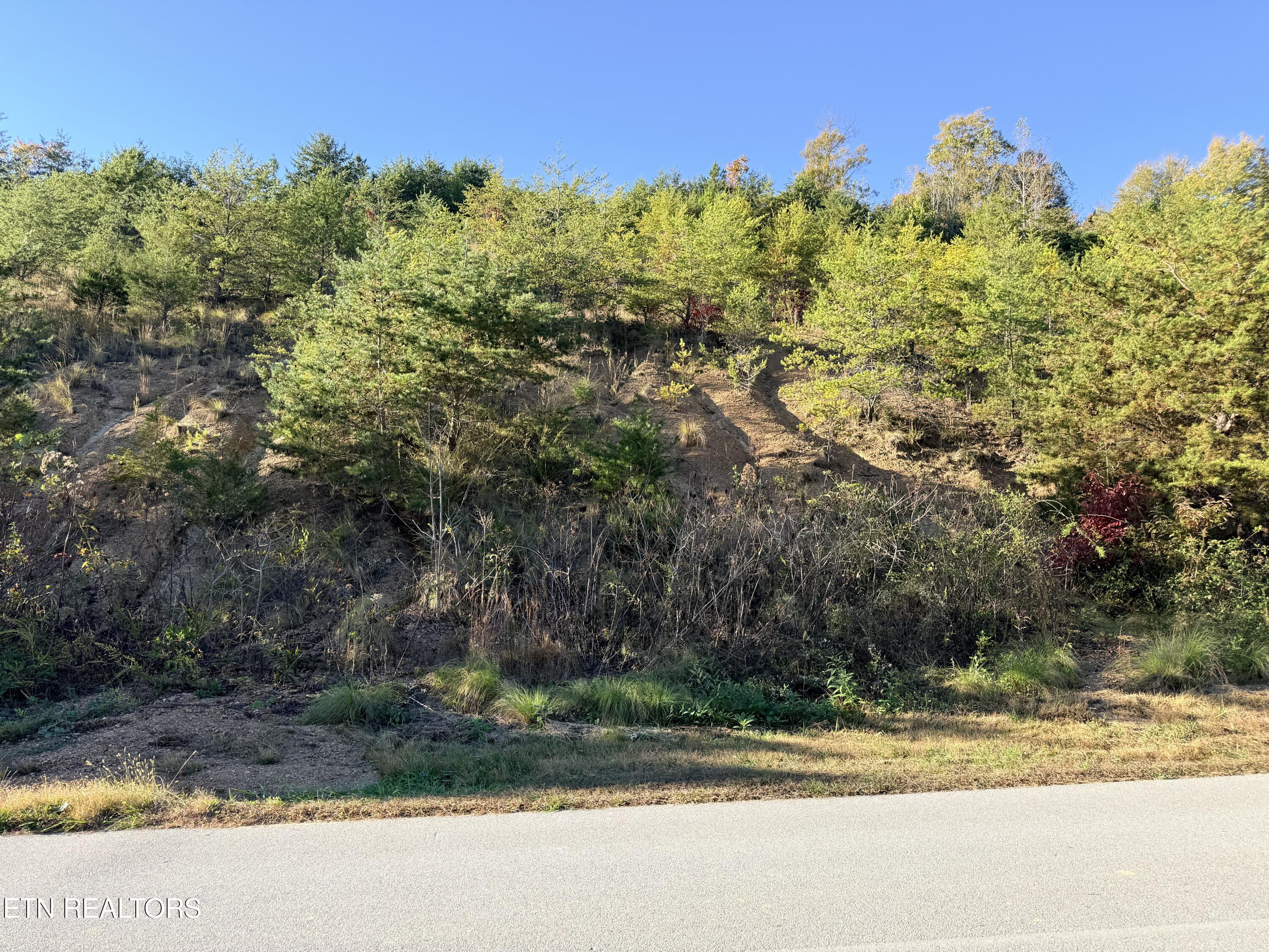Lot 97r Marina Landing Road Tazewell TN 37879