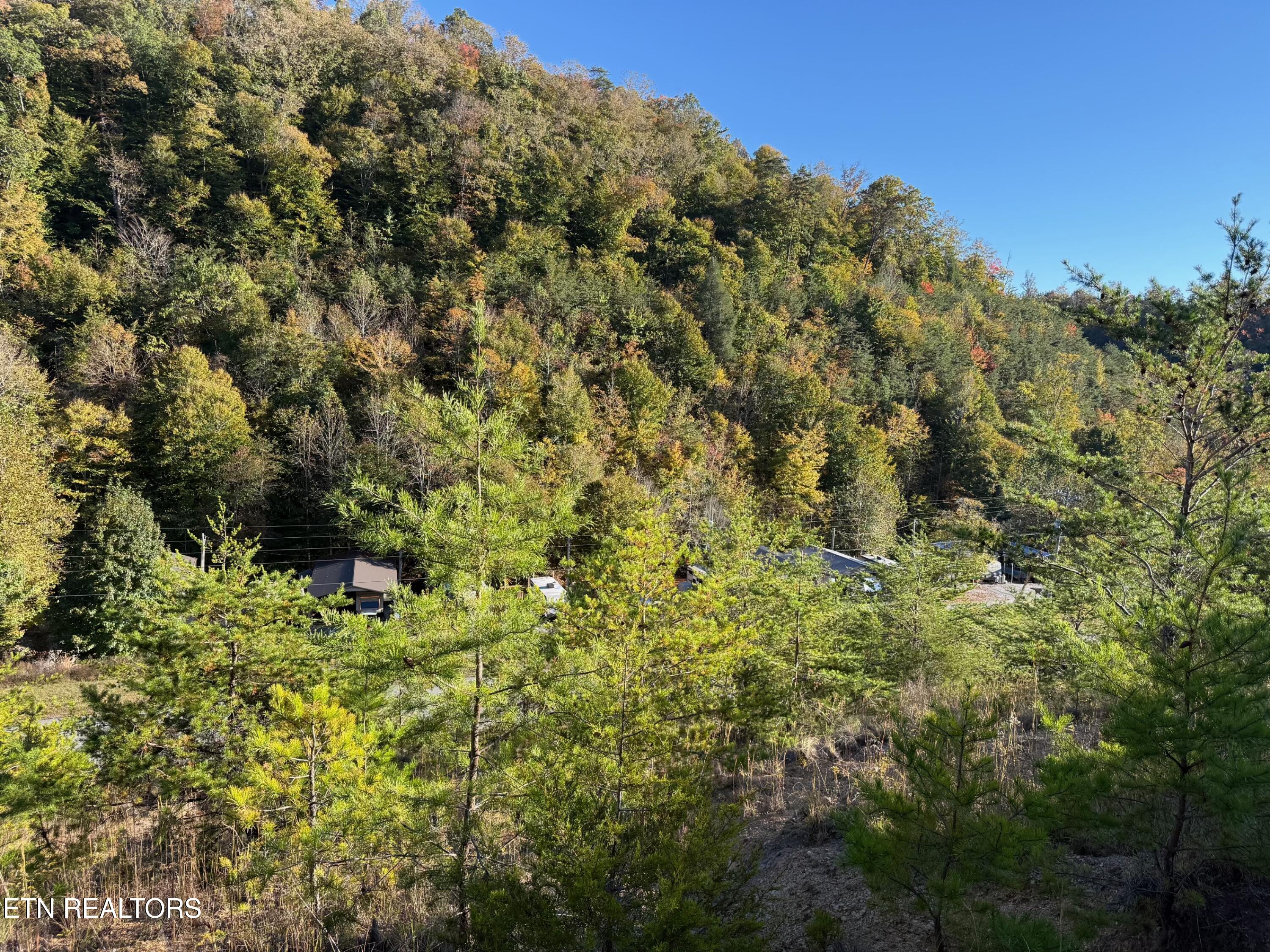 Lot 97r Marina Landing Road Tazewell TN 37879