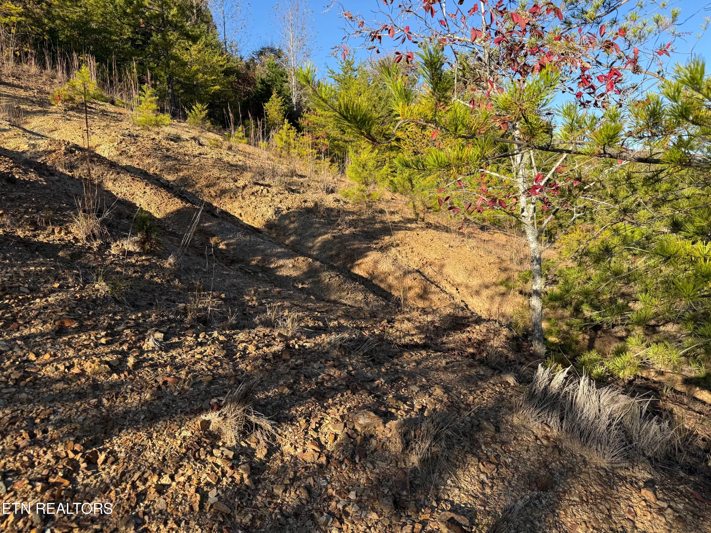 Lot 97r Marina Landing Road Tazewell TN 37879