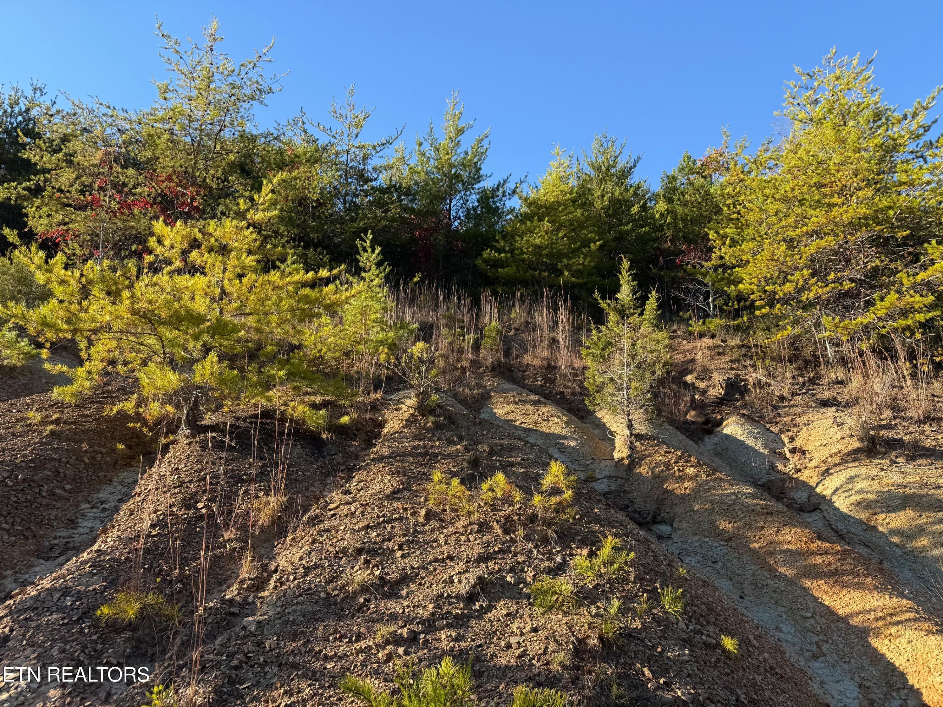 Lot 97r Marina Landing Road Tazewell TN 37879