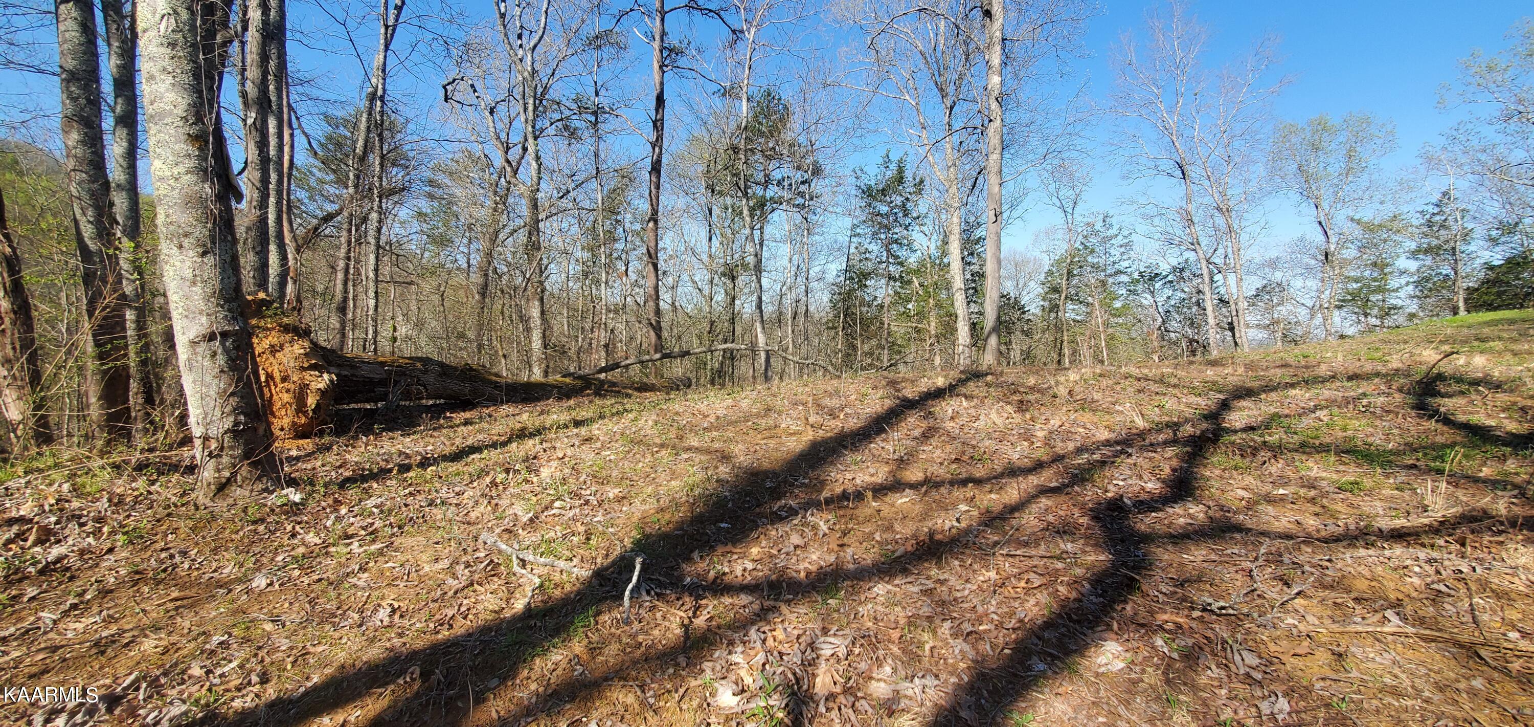 331 Chestnut Ridge Road Walland TN 37886