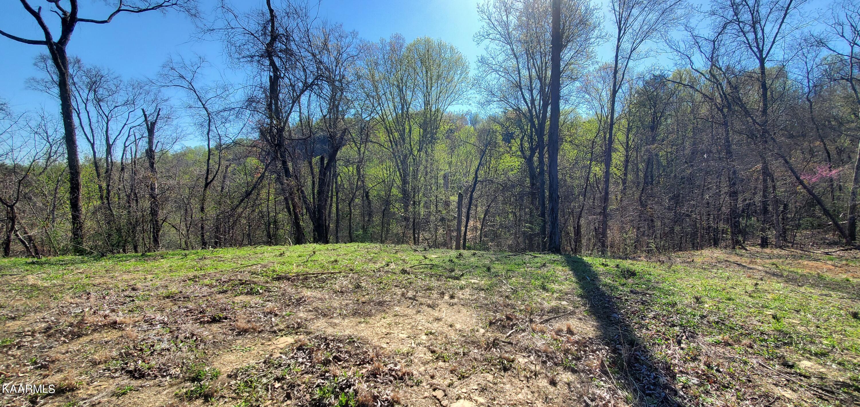331 Chestnut Ridge Road Walland TN 37886