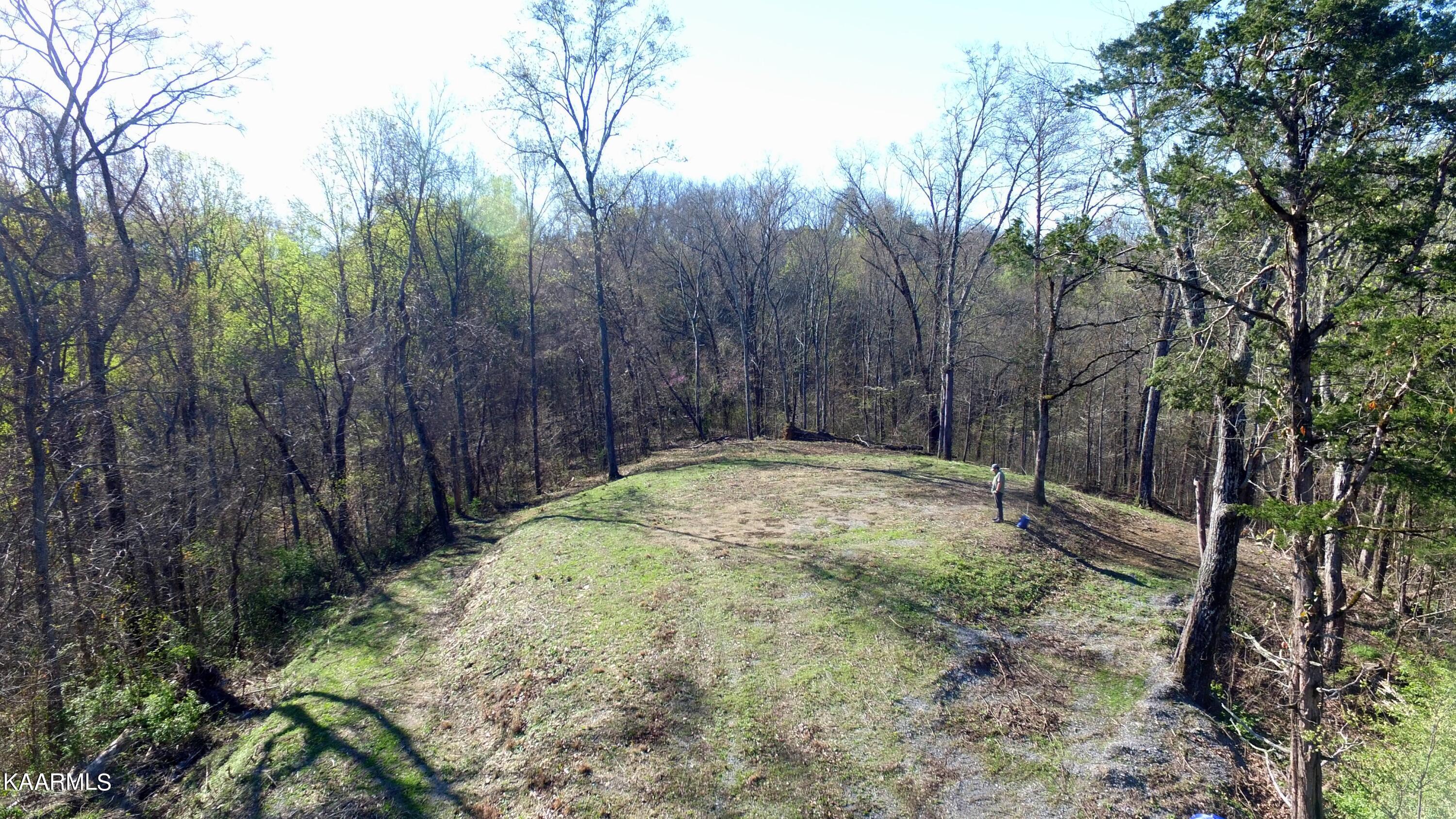 331 Chestnut Ridge Road Walland TN 37886