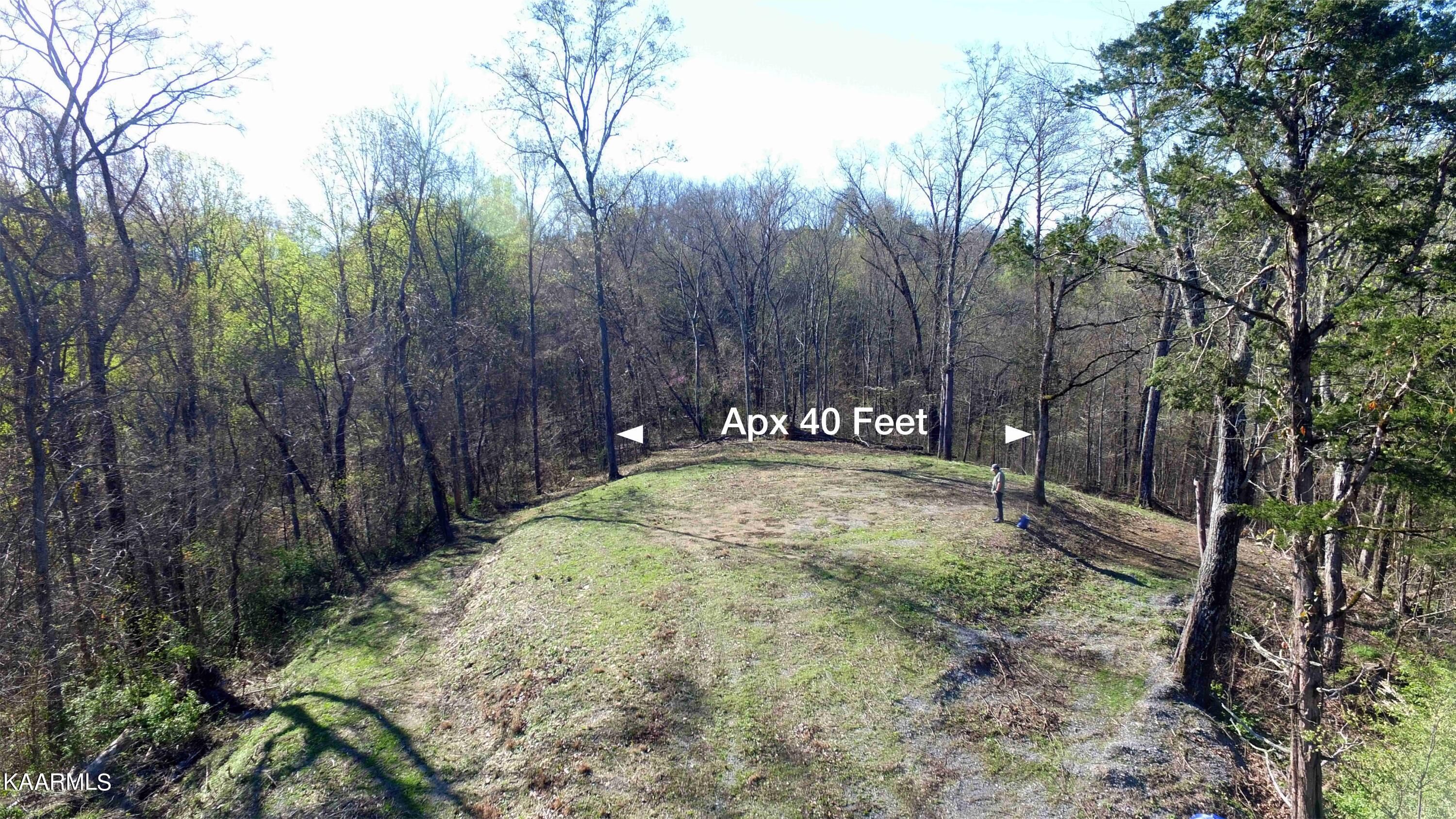331 Chestnut Ridge Road Walland TN 37886