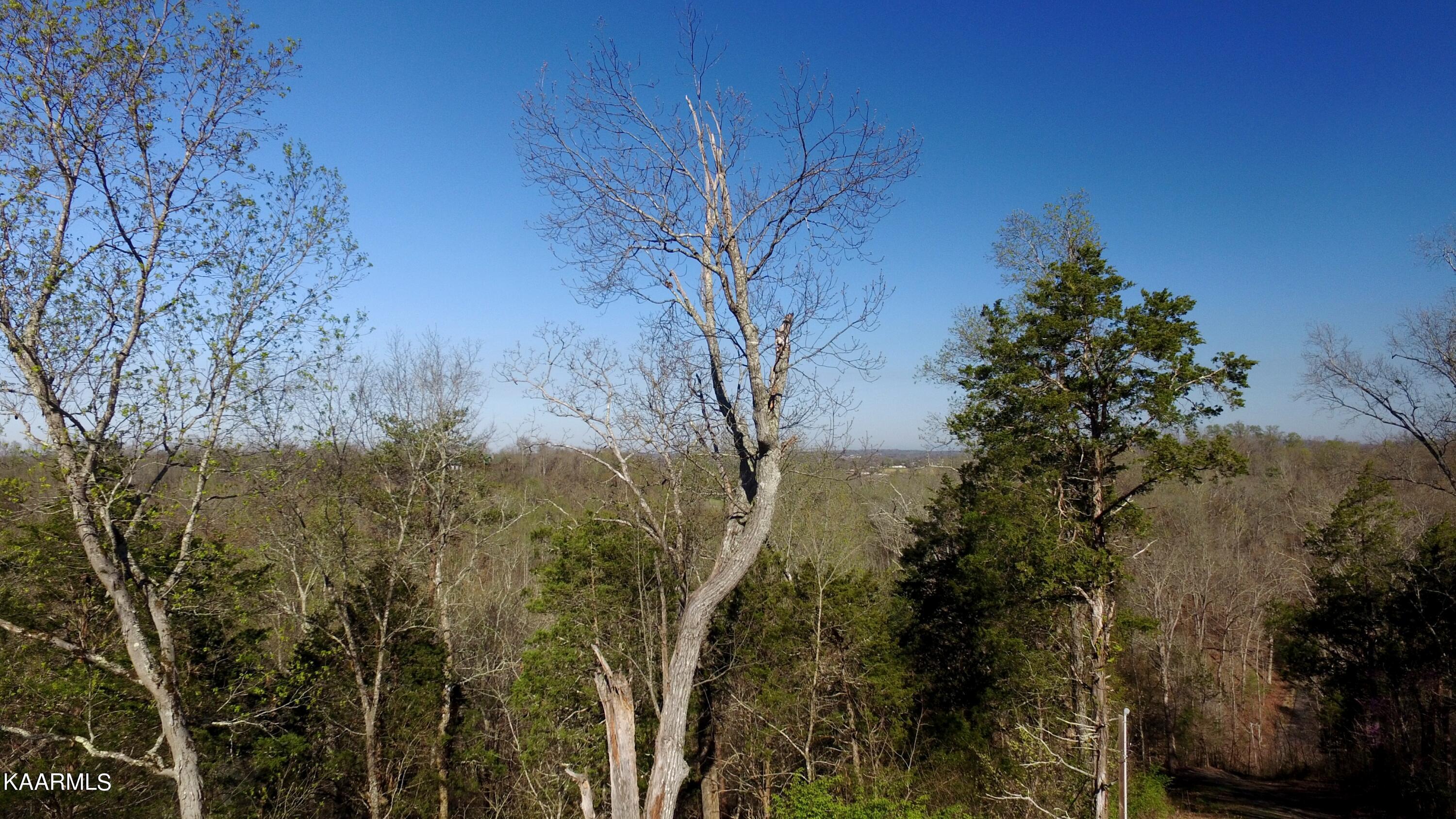 331 Chestnut Ridge Road Walland TN 37886