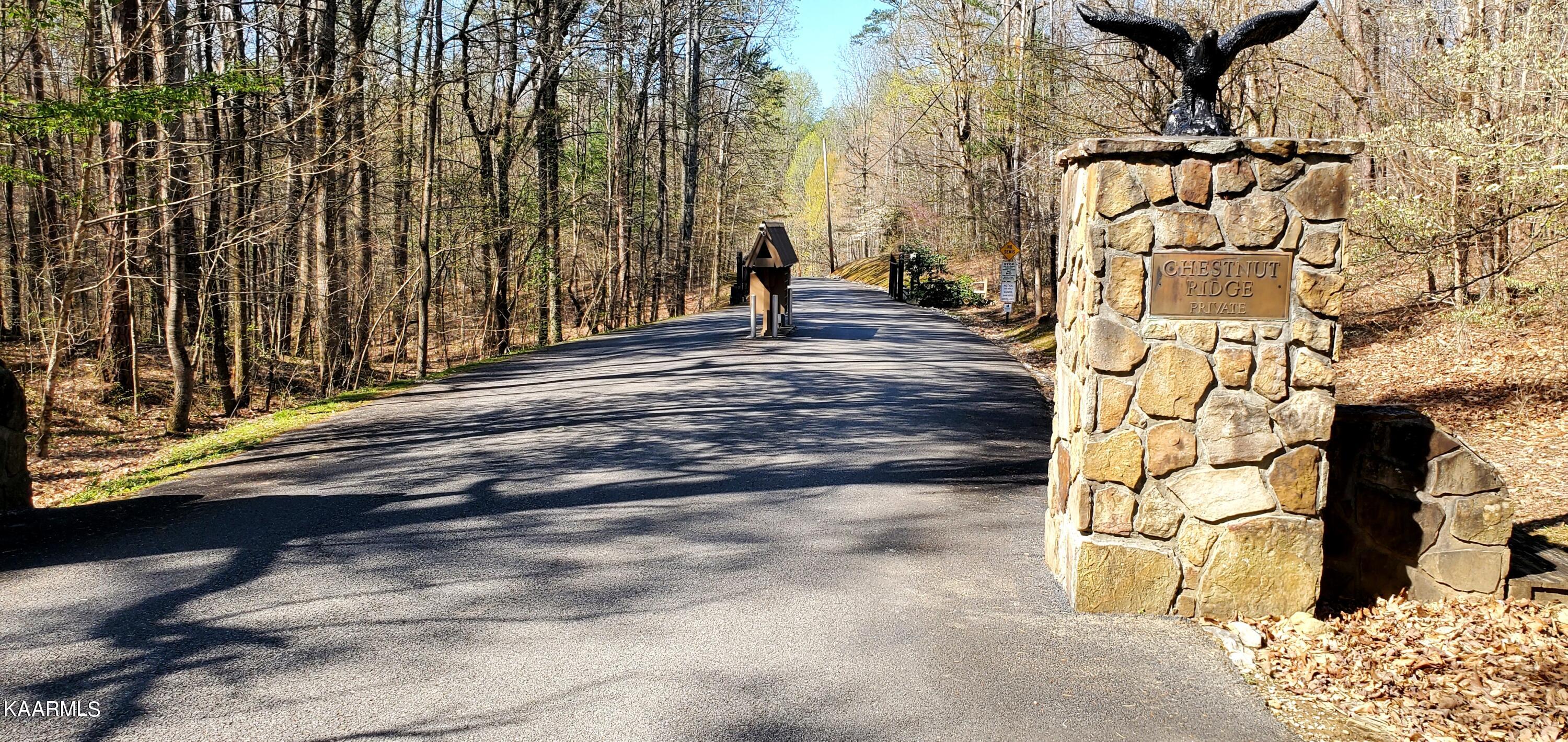 331 Chestnut Ridge Road Walland TN 37886