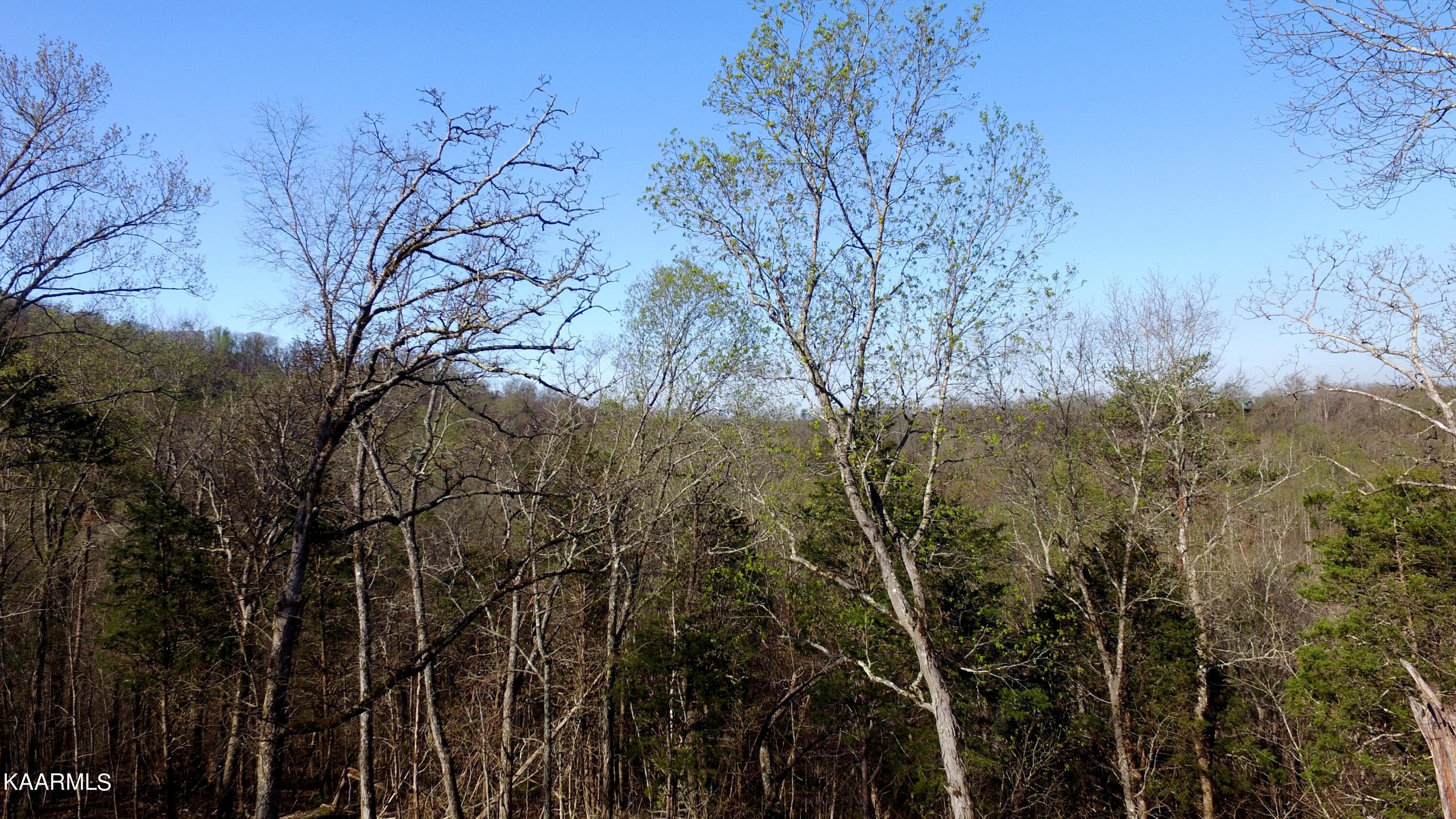 331 Chestnut Ridge Road Walland TN 37886