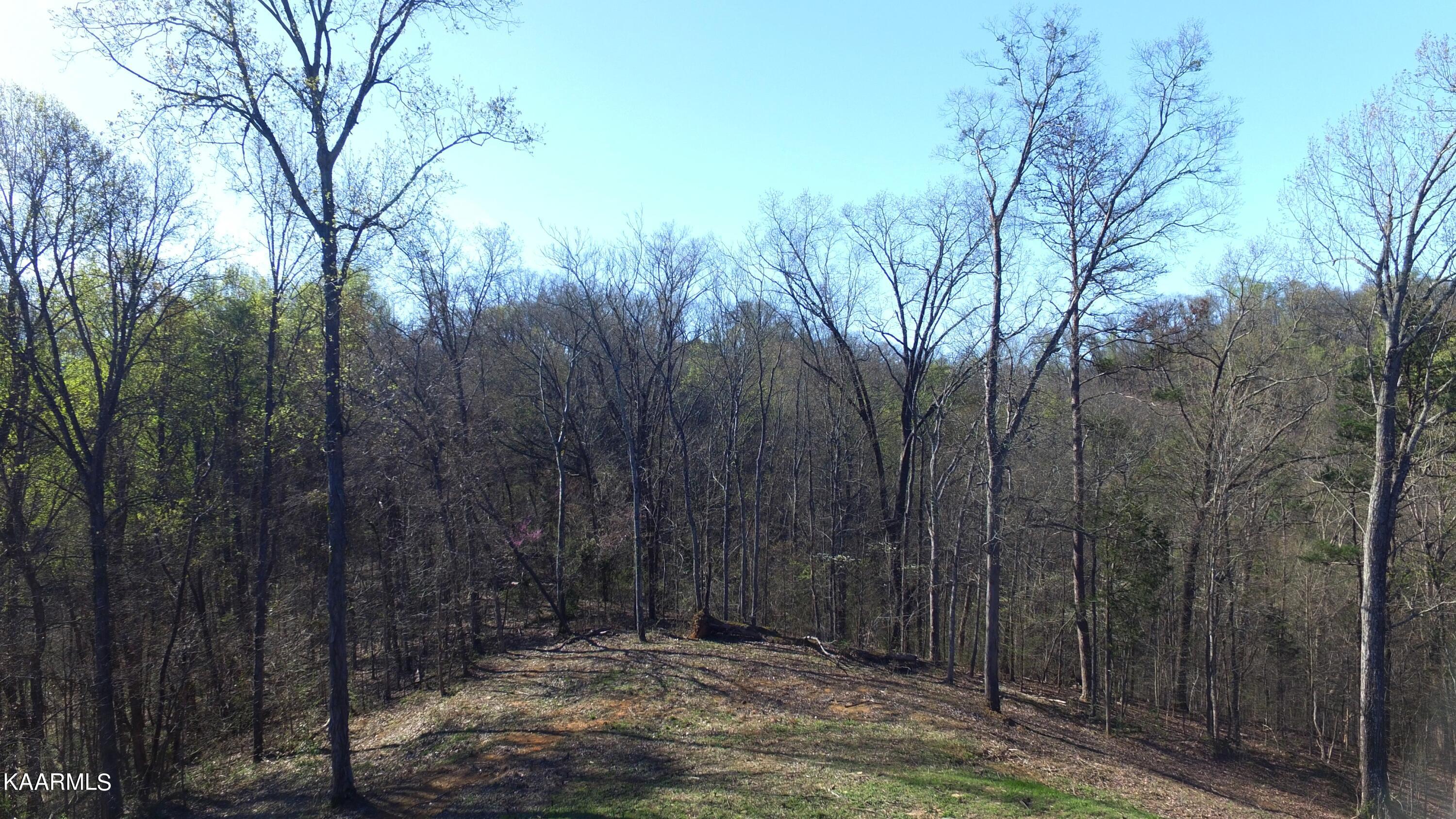 331 Chestnut Ridge Road Walland TN 37886