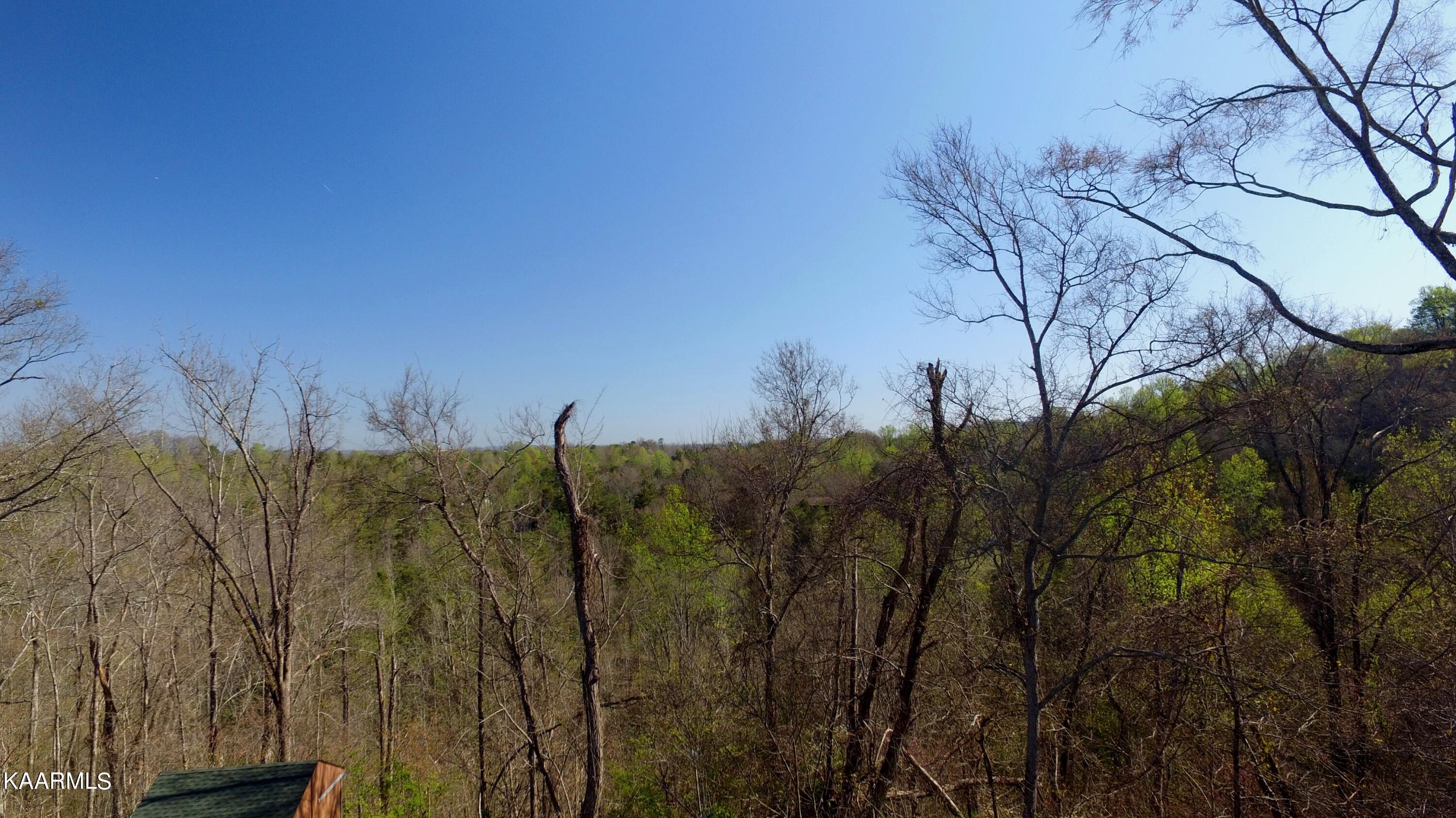 331 Chestnut Ridge Road Walland TN 37886