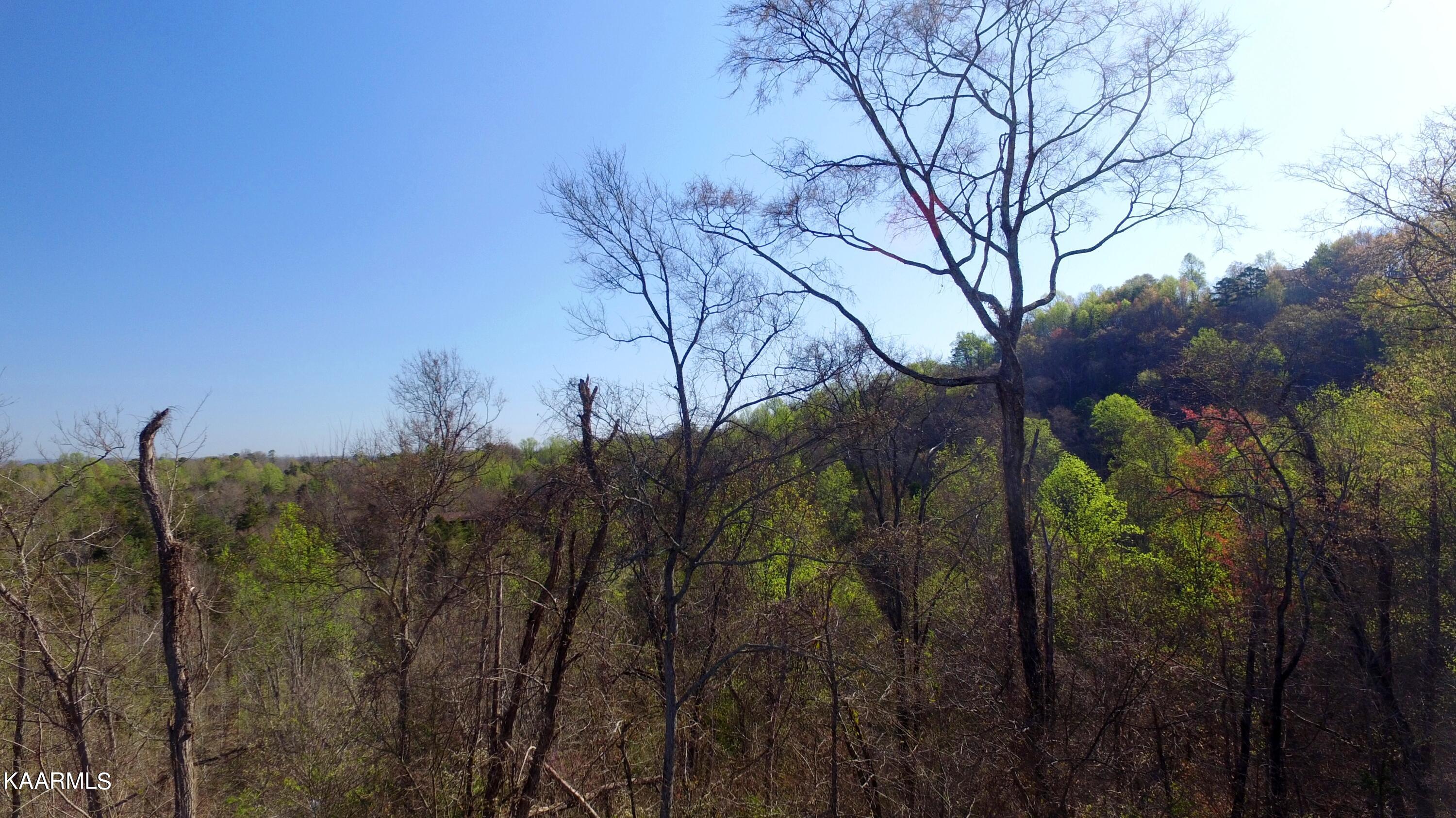 331 Chestnut Ridge Road Walland TN 37886