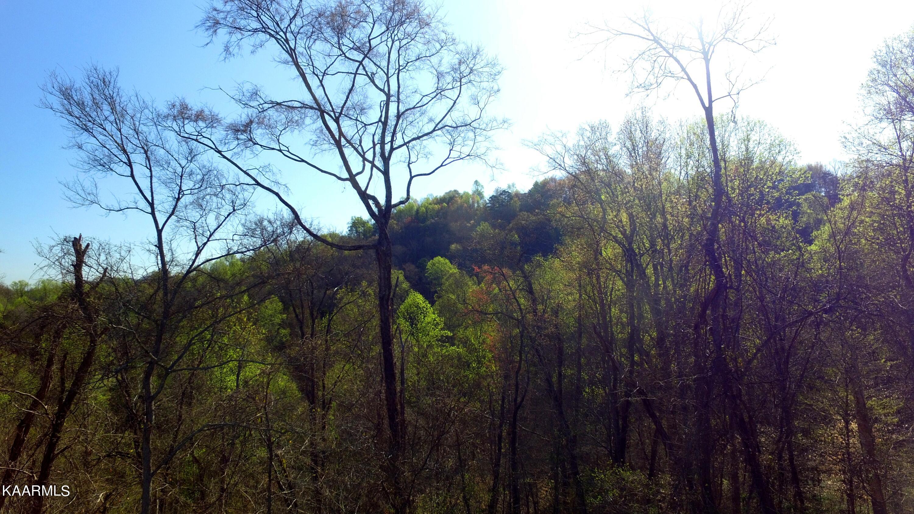 331 Chestnut Ridge Road Walland TN 37886
