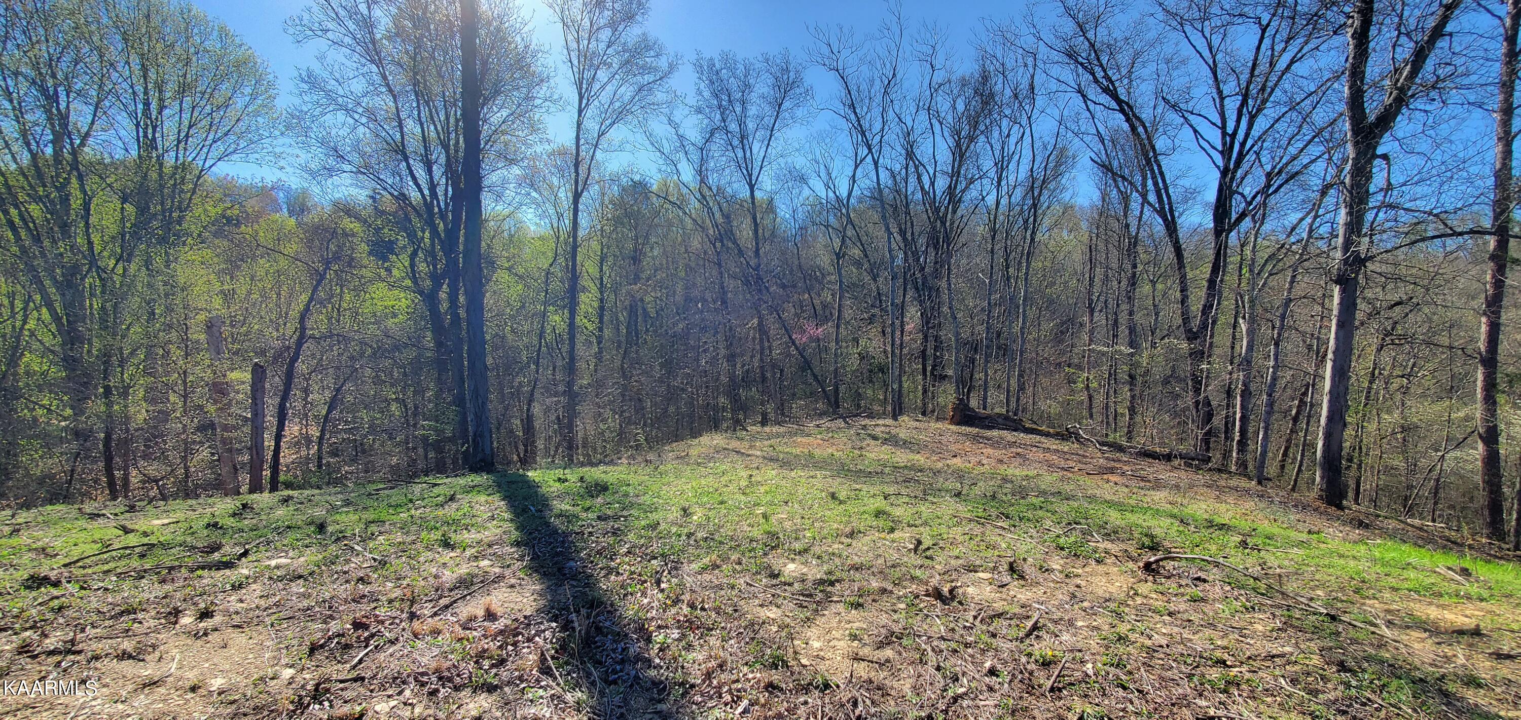 331 Chestnut Ridge Road Walland TN 37886