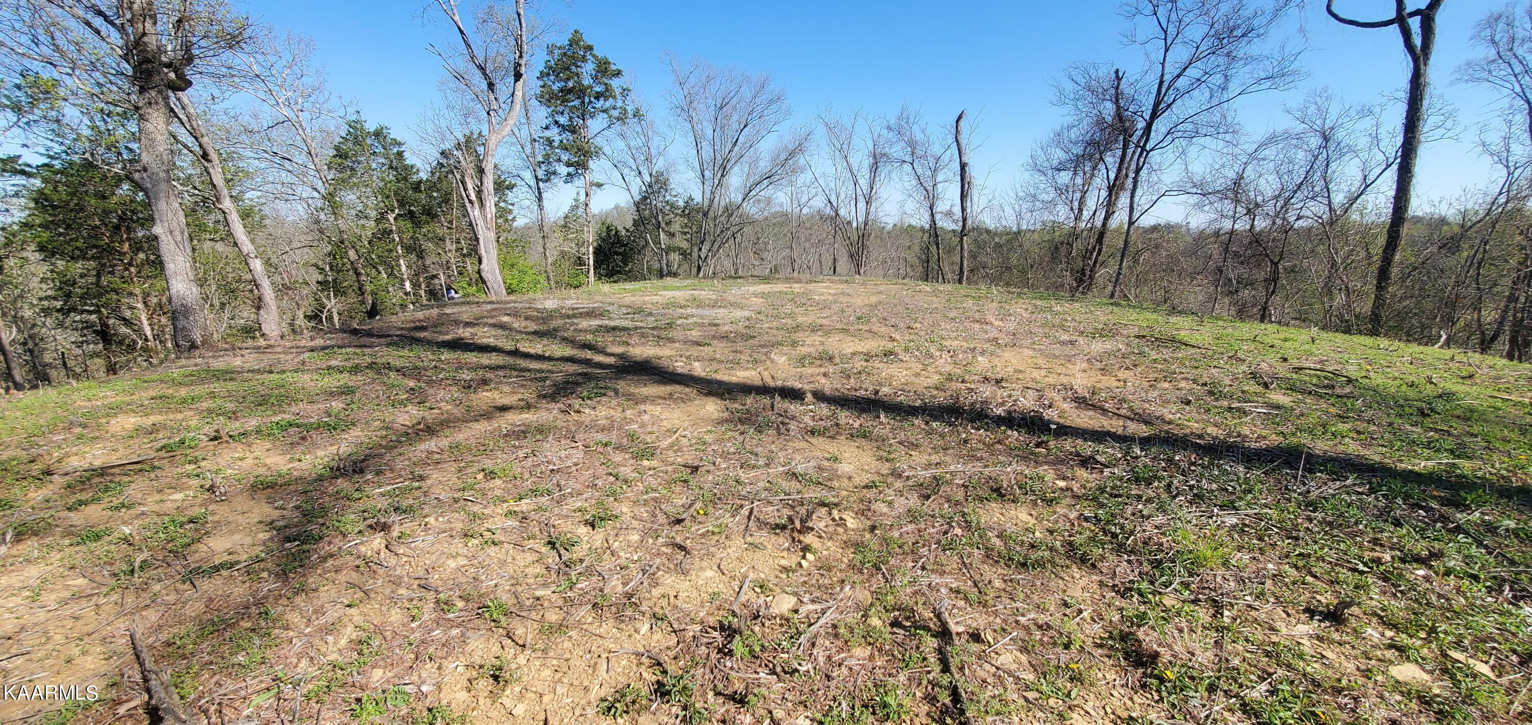 331 Chestnut Ridge Road Walland TN 37886