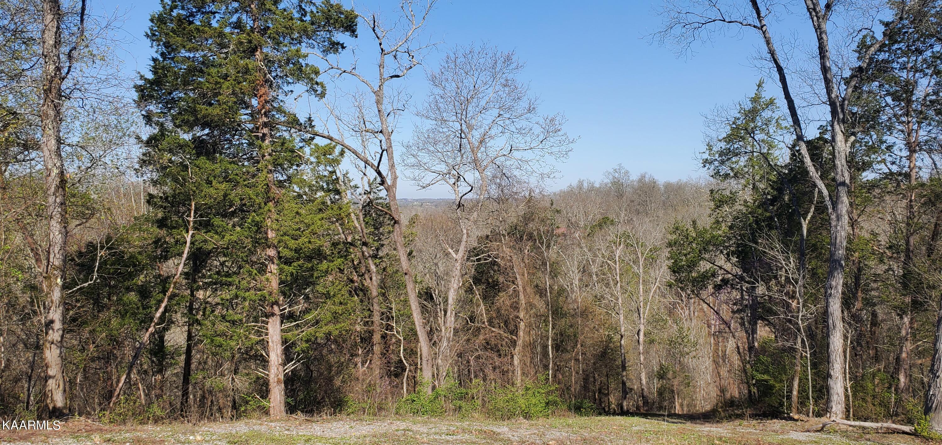 331 Chestnut Ridge Road Walland TN 37886