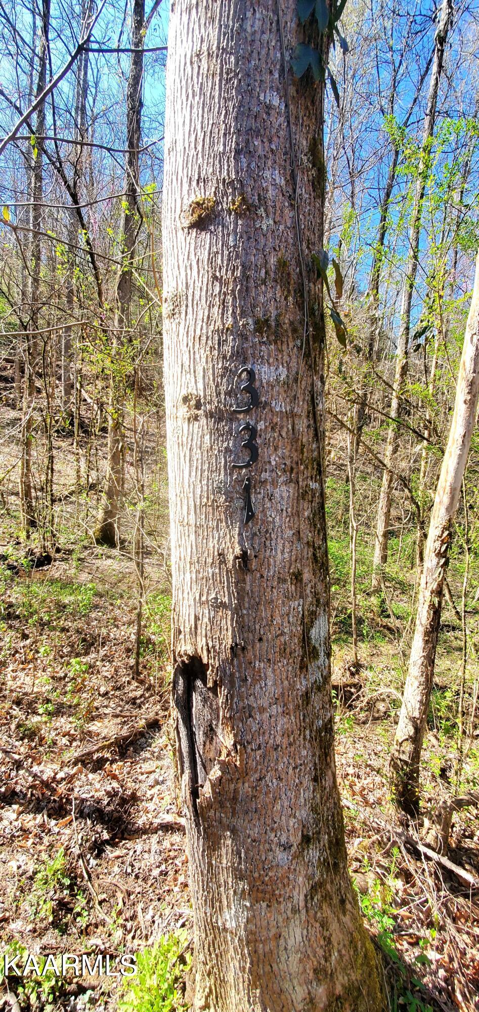 331 Chestnut Ridge Road Walland TN 37886