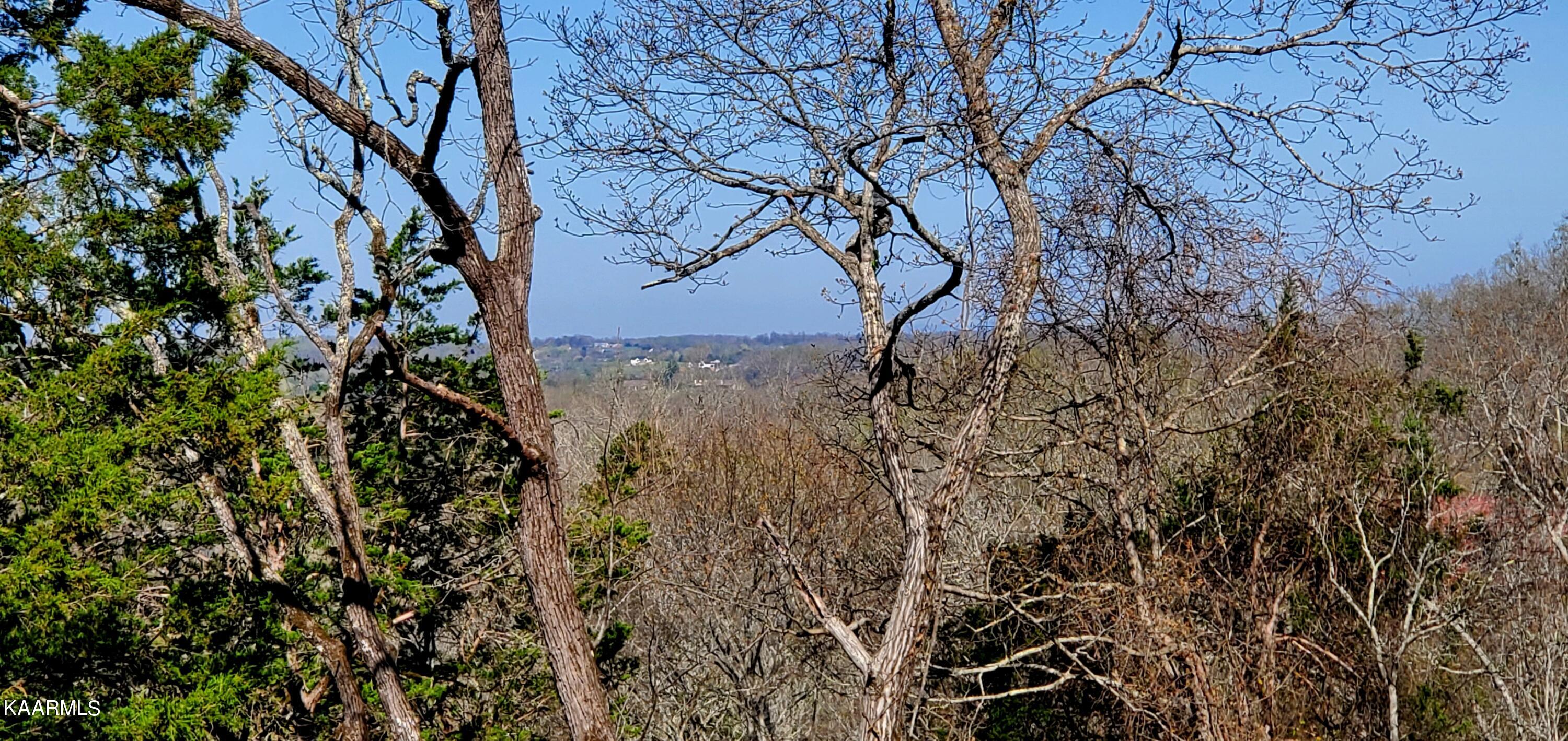331 Chestnut Ridge Road Walland TN 37886