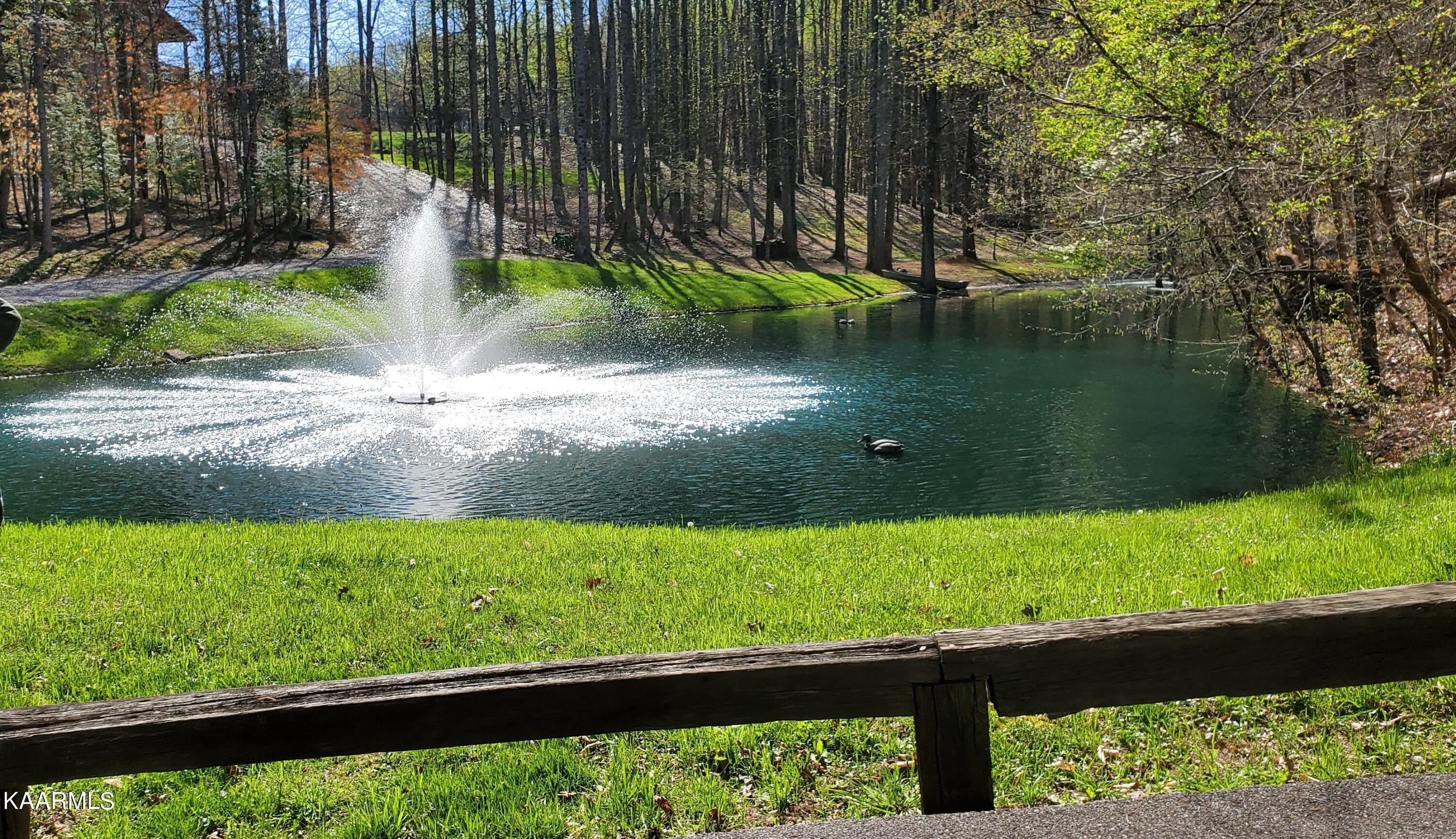331 Chestnut Ridge Road Walland TN 37886