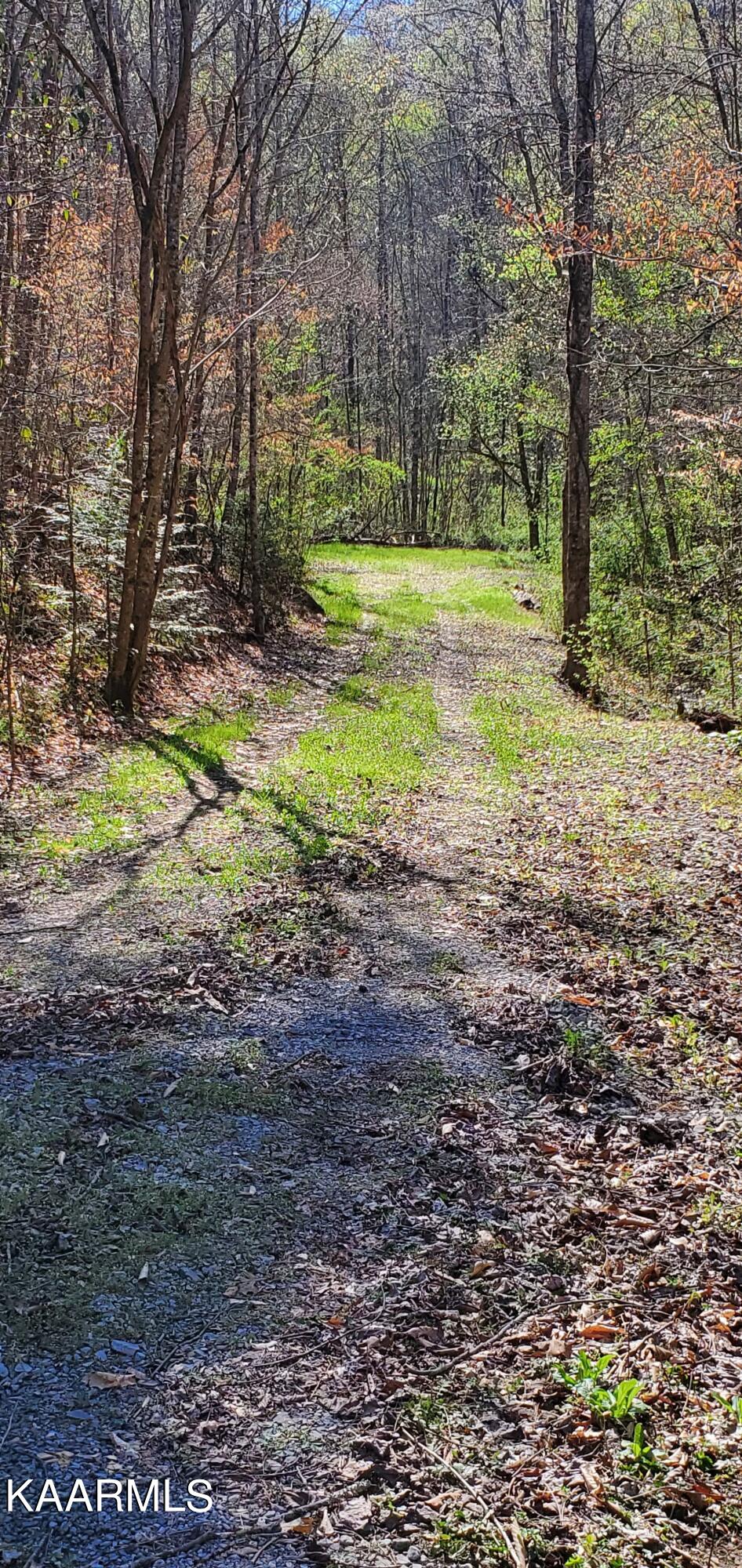 331 Chestnut Ridge Road Walland TN 37886