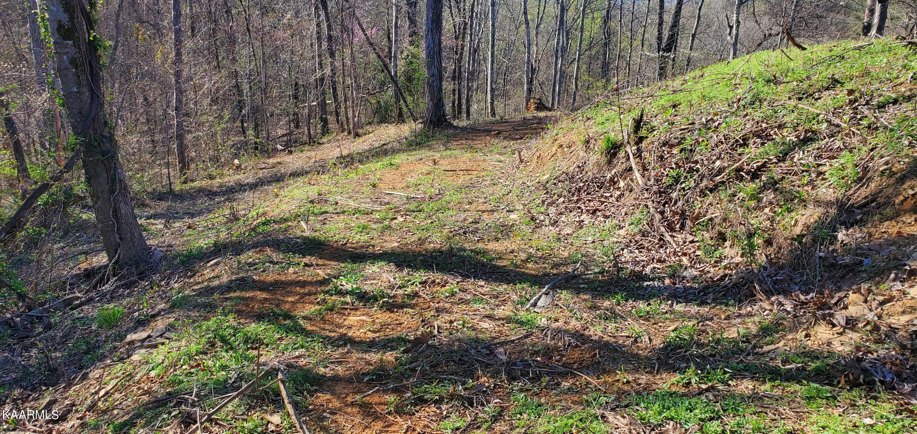 331 Chestnut Ridge Road Walland TN 37886