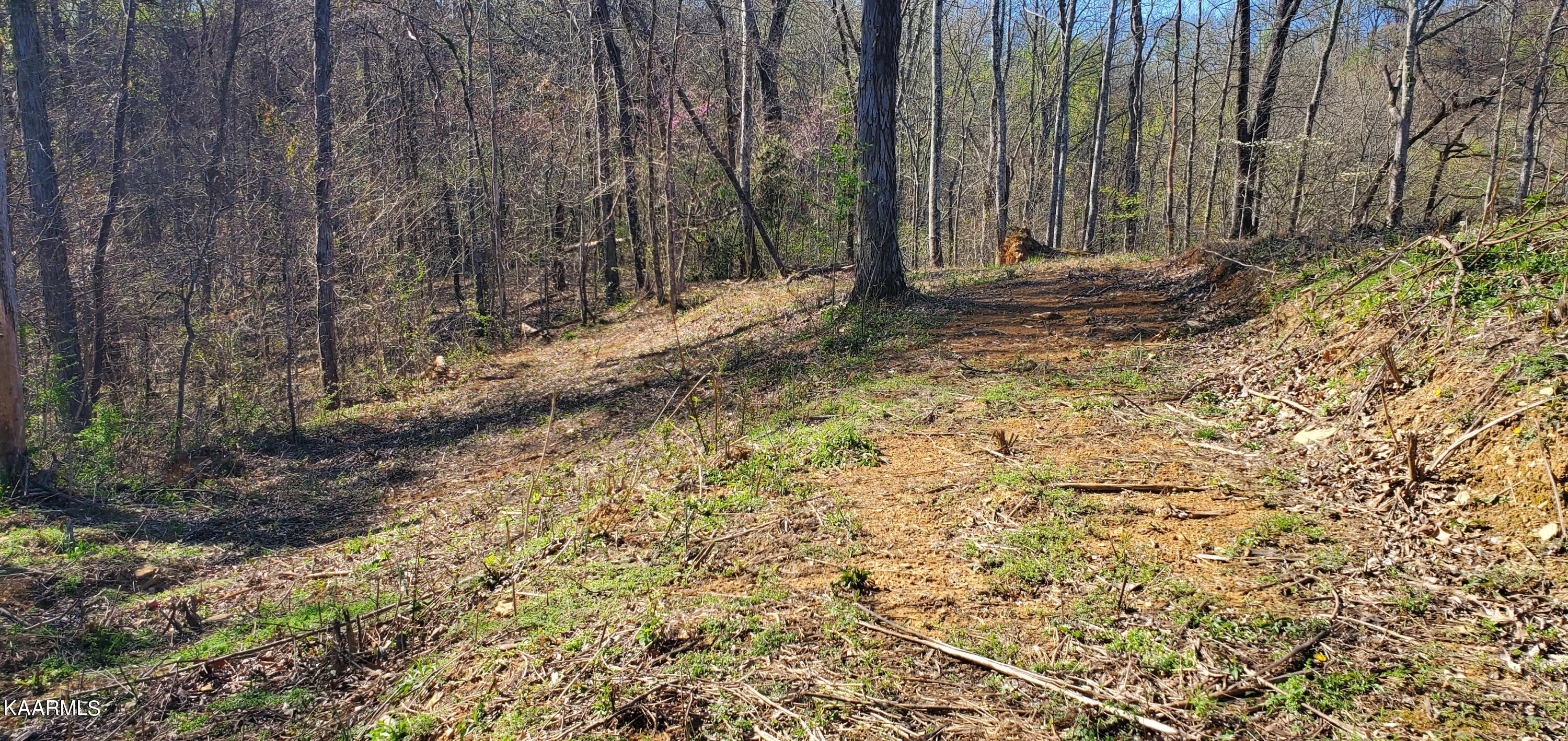 331 Chestnut Ridge Road Walland TN 37886