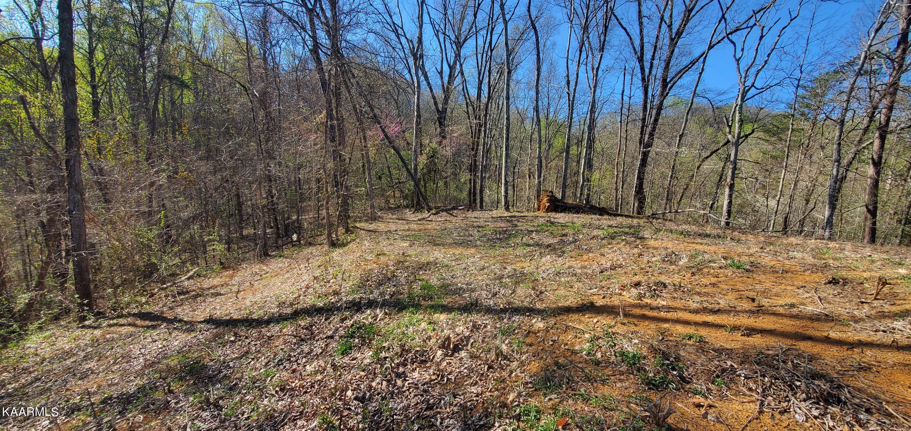 331 Chestnut Ridge Road Walland TN 37886