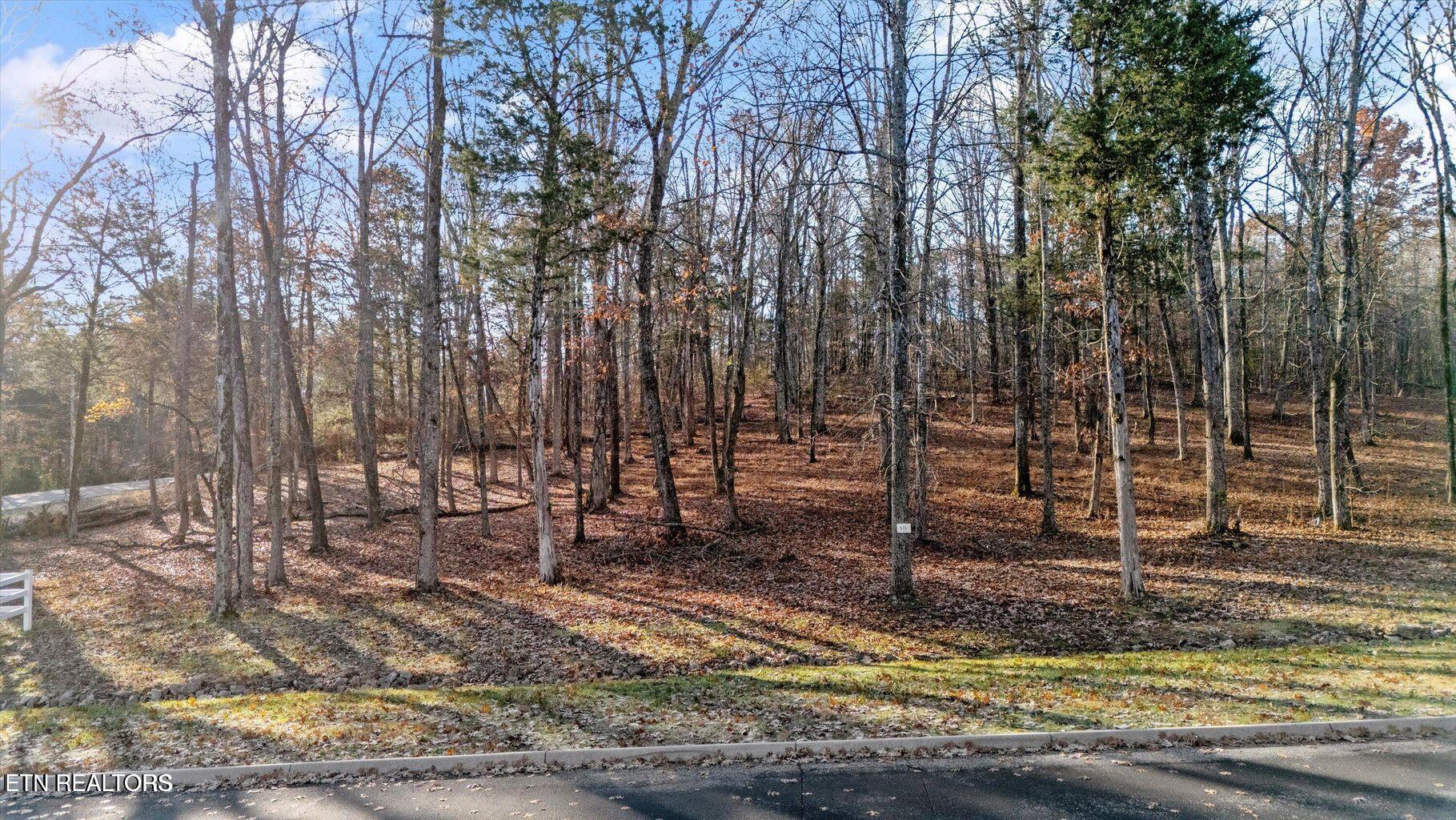 380 Walking Horse Trail Rockwood TN 37854