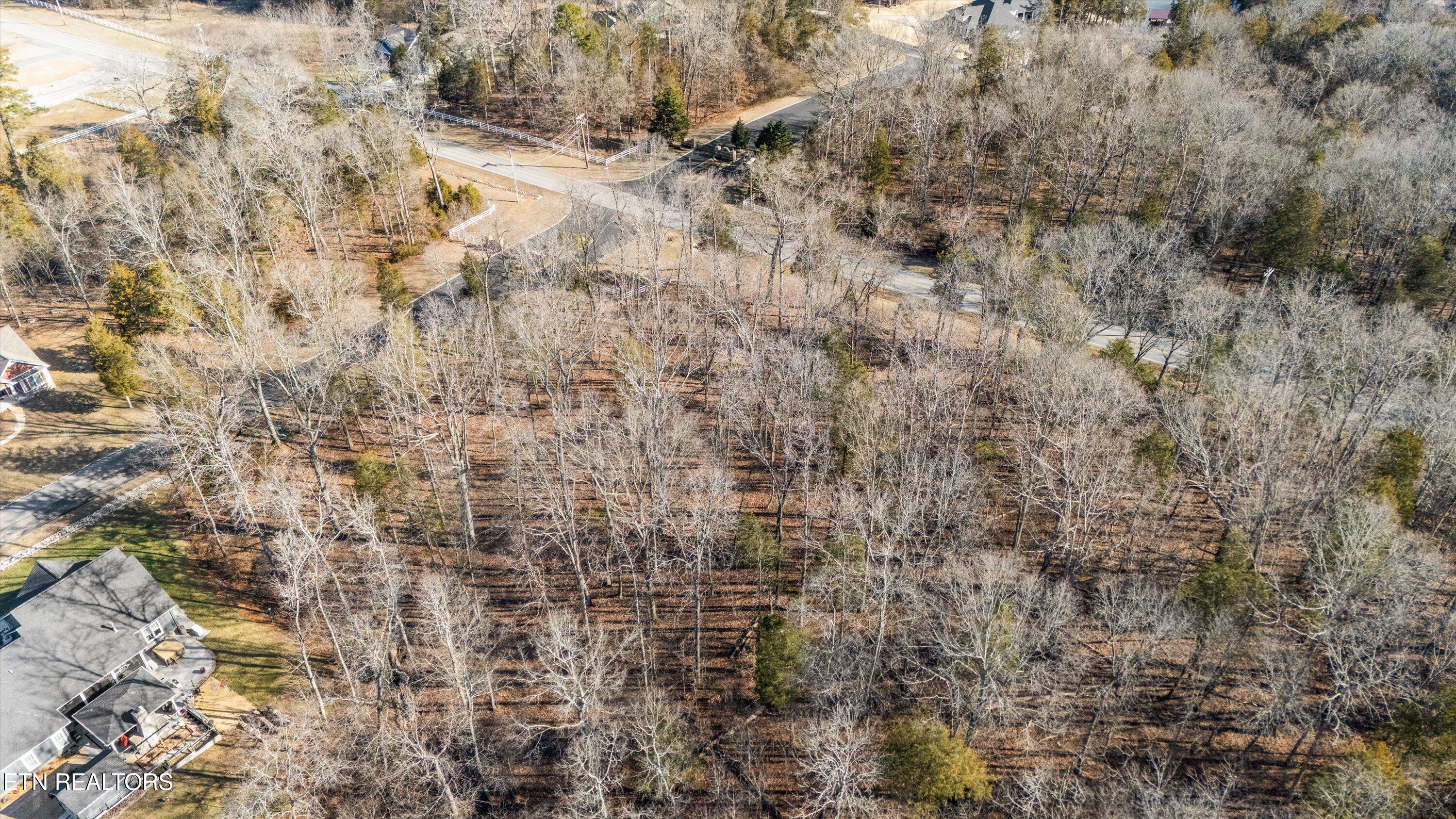 380 Walking Horse Trail Rockwood TN 37854