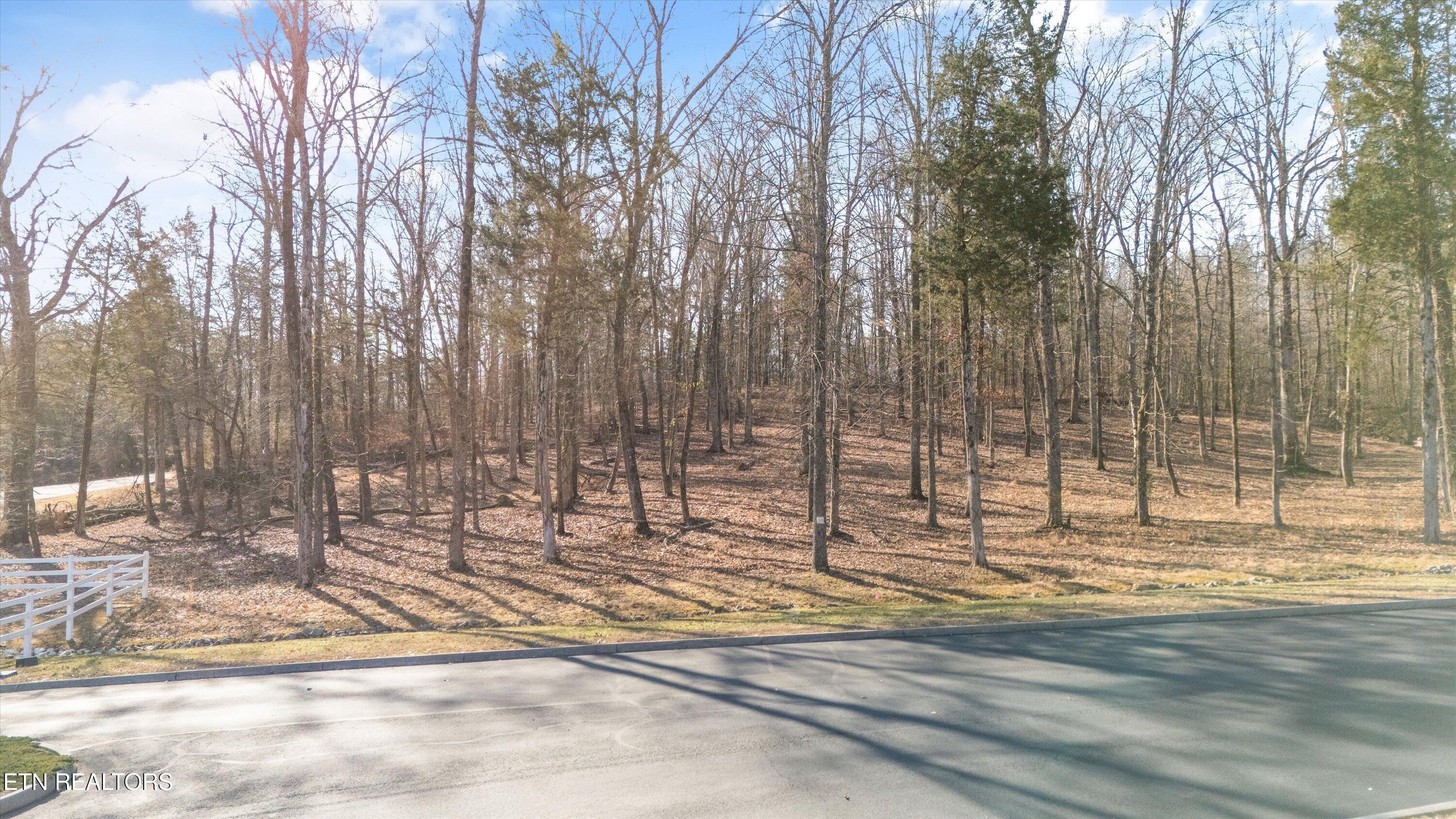 380 Walking Horse Trail Rockwood TN 37854