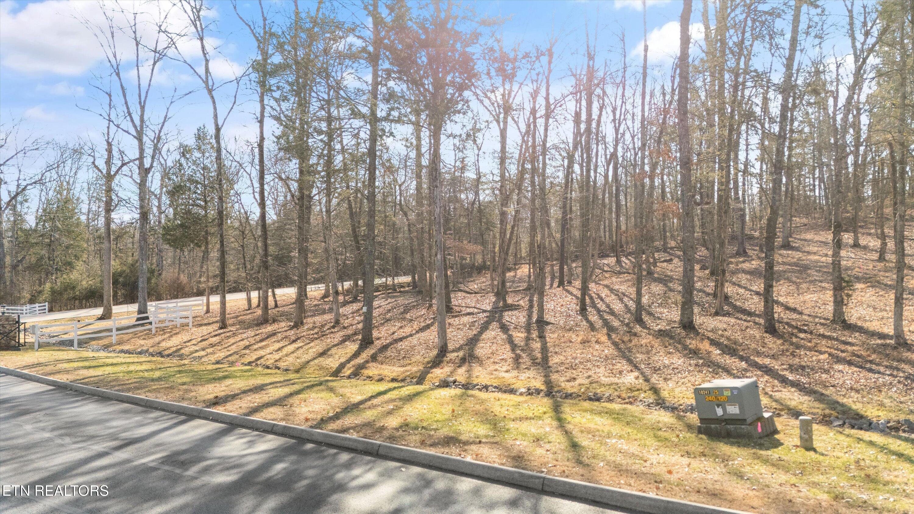 380 Walking Horse Trail Rockwood TN 37854