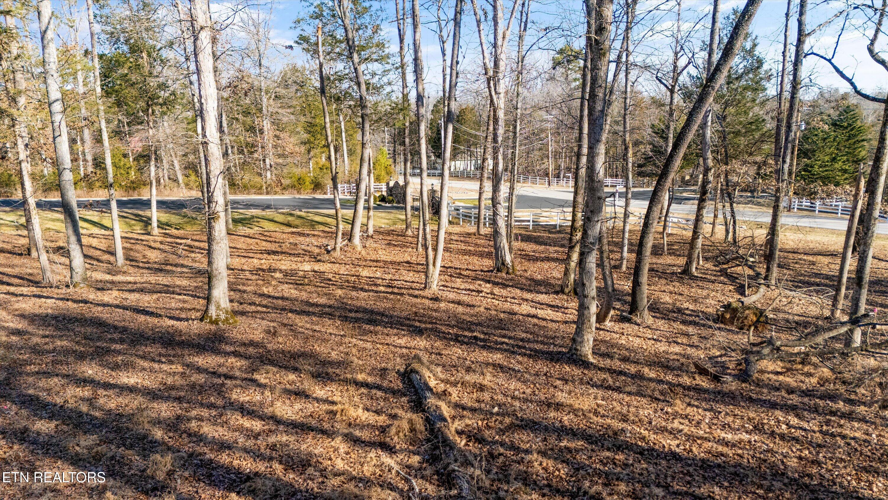 380 Walking Horse Trail Rockwood TN 37854