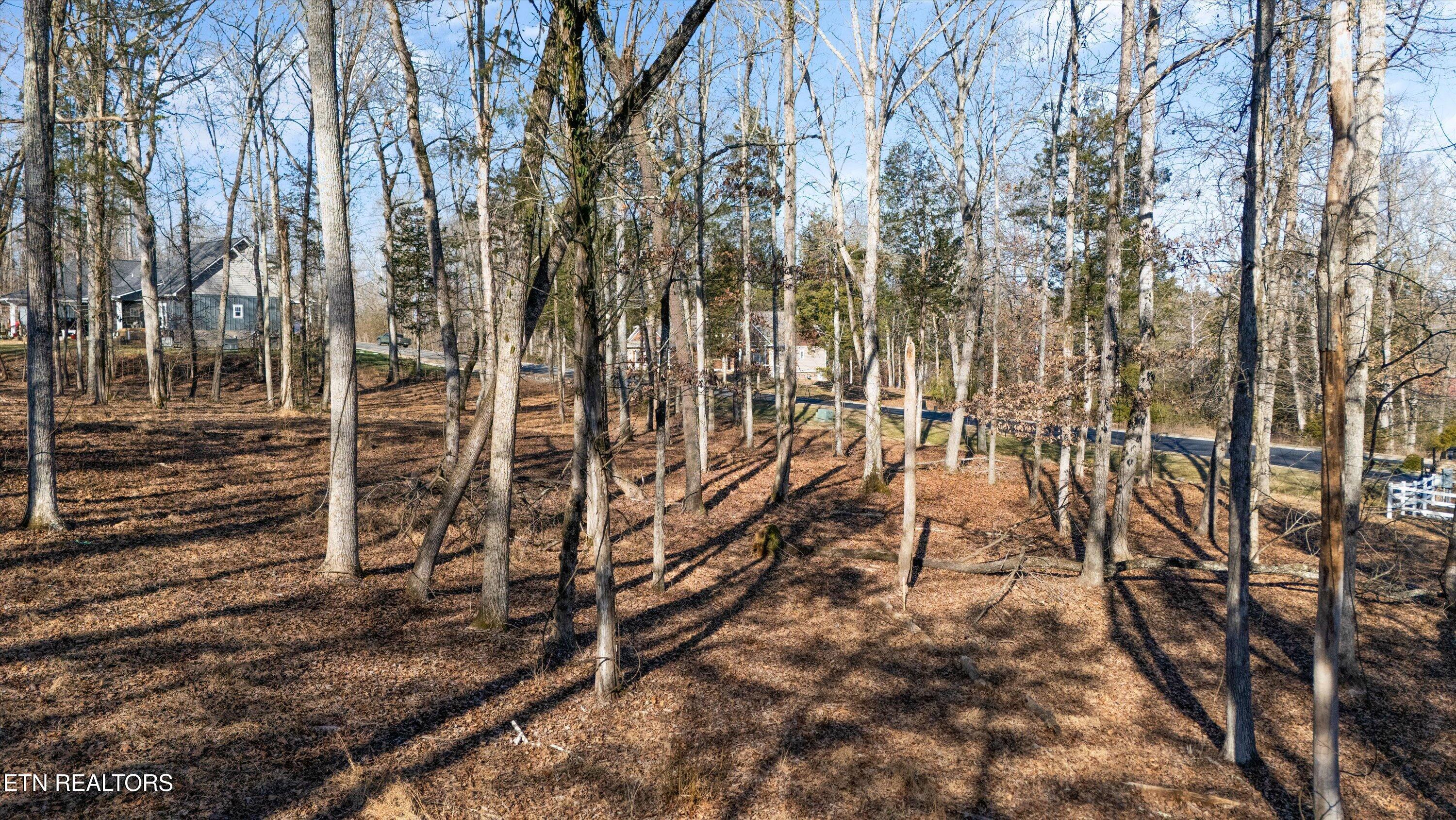 380 Walking Horse Trail Rockwood TN 37854