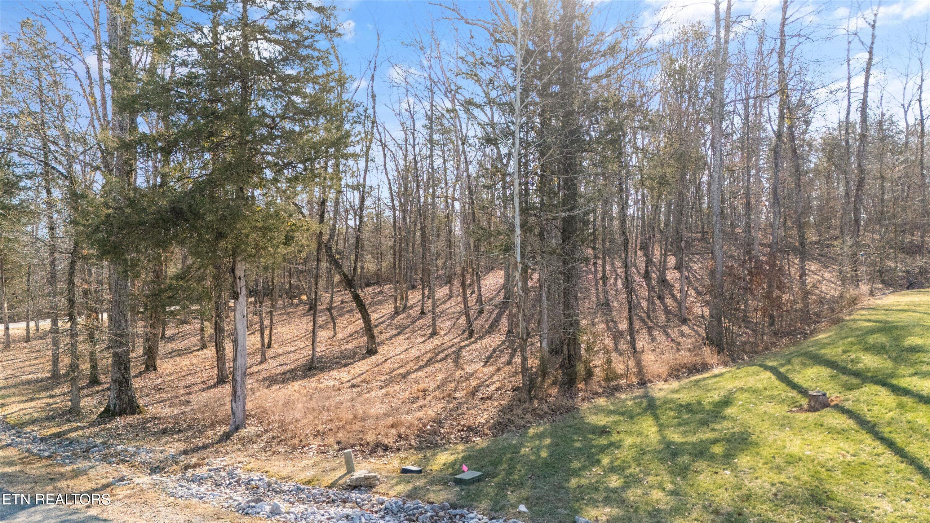 380 Walking Horse Trail Rockwood TN 37854