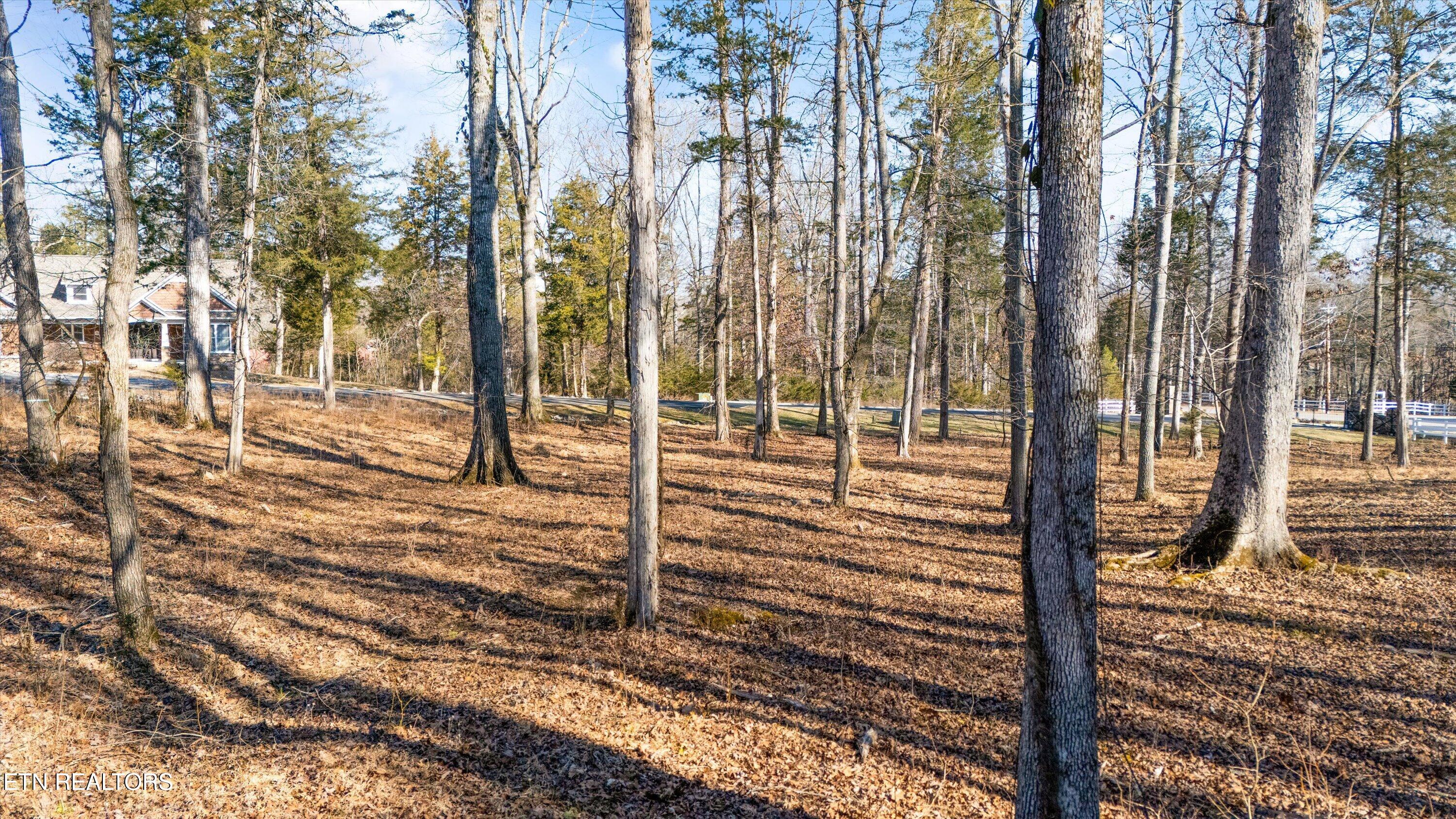 380 Walking Horse Trail Rockwood TN 37854