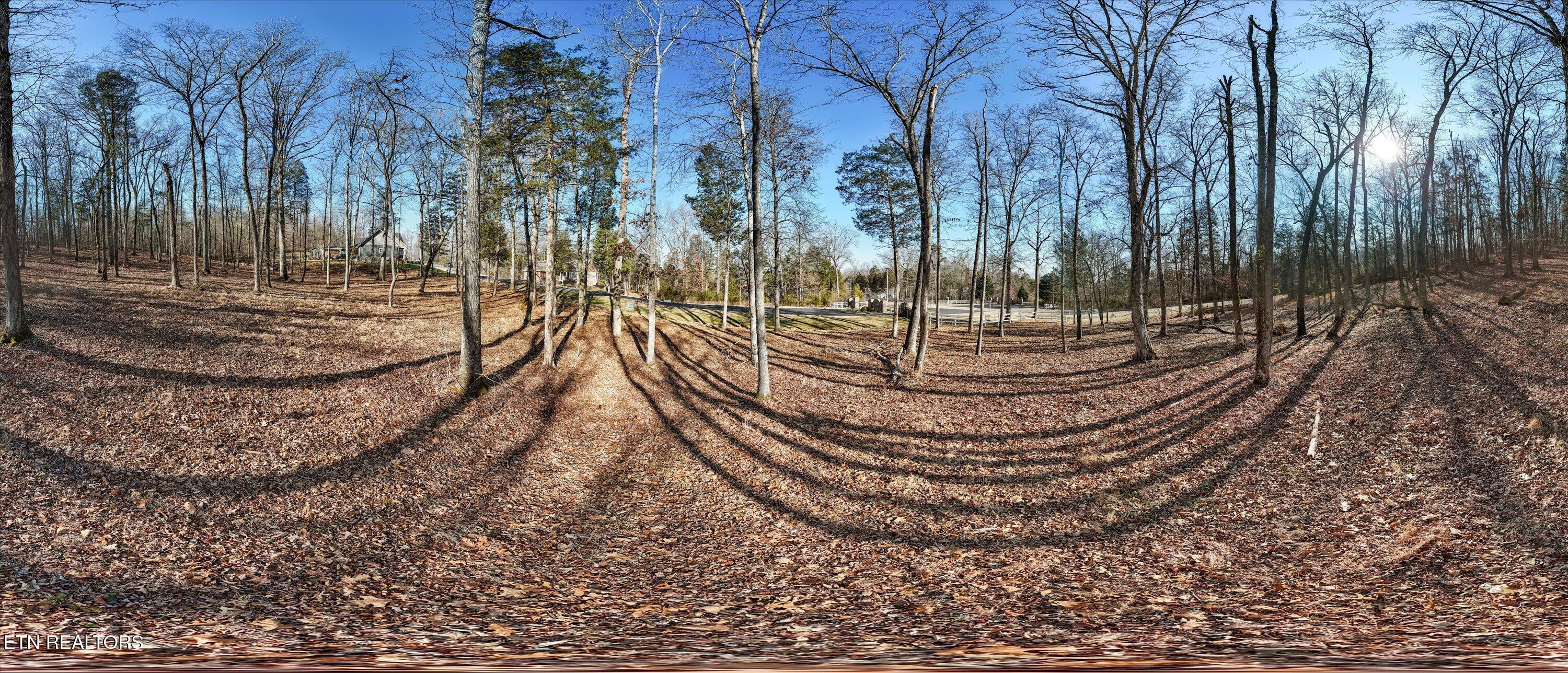380 Walking Horse Trail Rockwood TN 37854